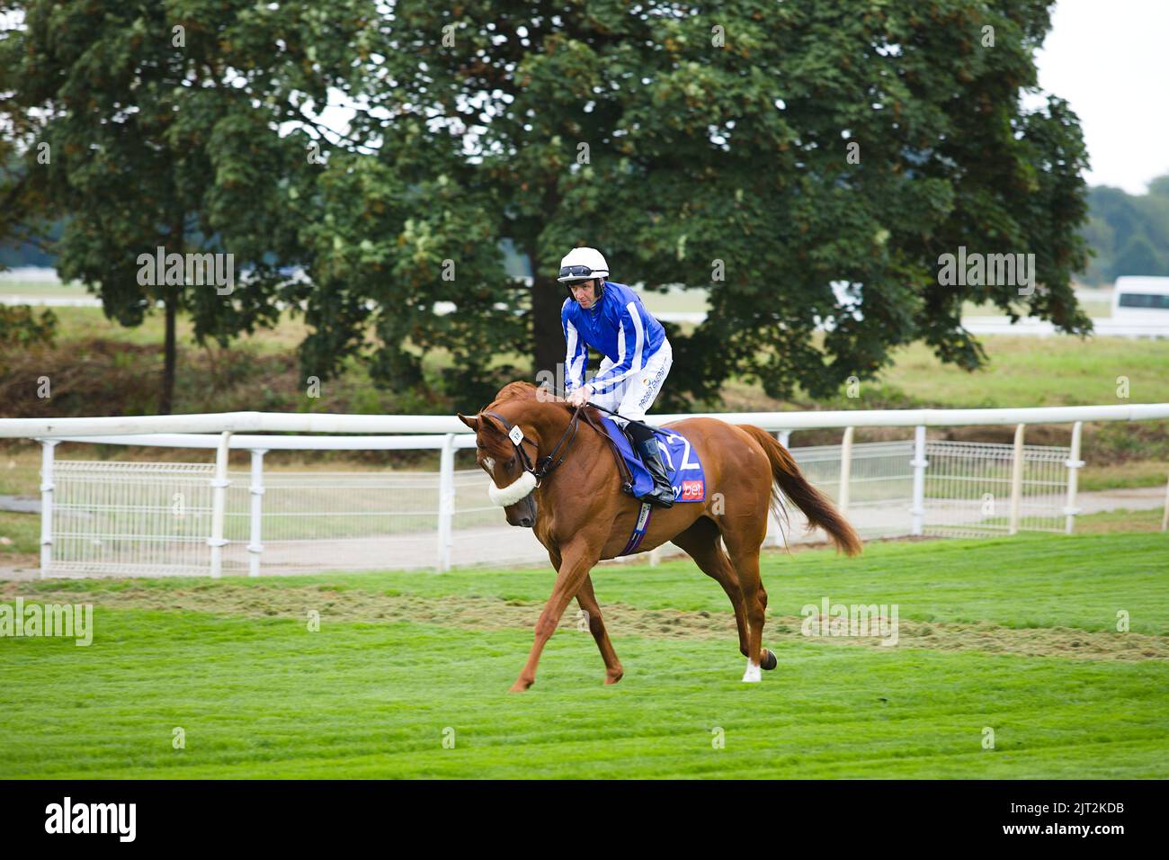 Jockey Tom Eaves circonscription Queen Me. Banque D'Images