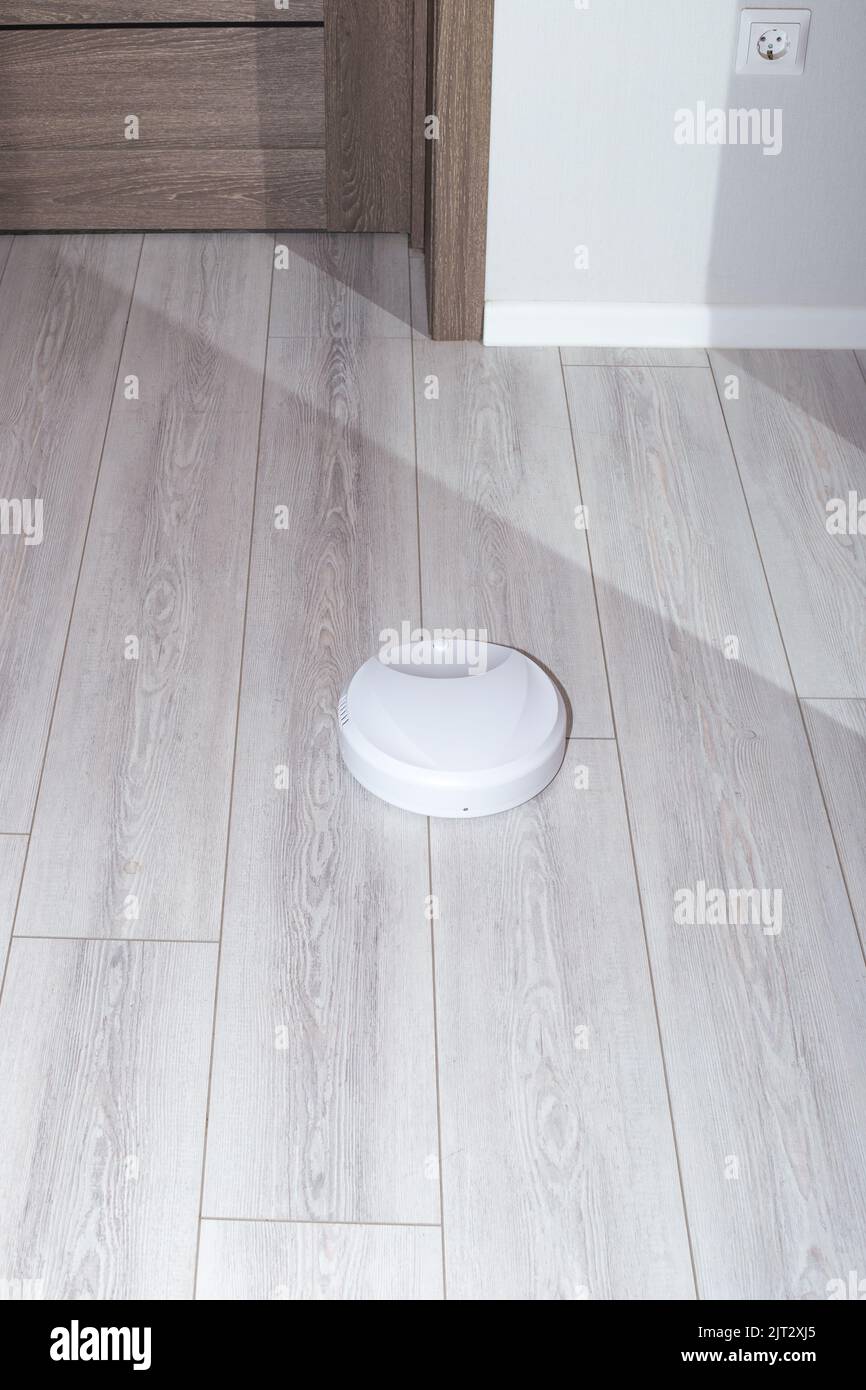 Un petit robot-aspirateur fonctionne sur le sol, aspirant le stratifié. Nettoyage de maison, gadgets intelligents. Banque D'Images
