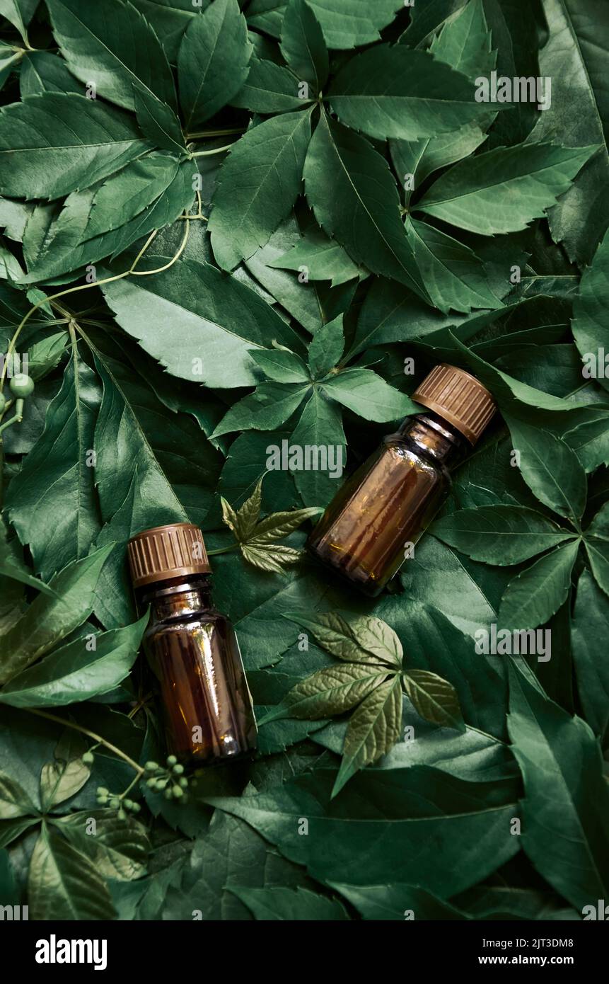Flacons avec produit cosmétique à base de sérum huilé sur fond vertical de feuilles vertes. Banque D'Images