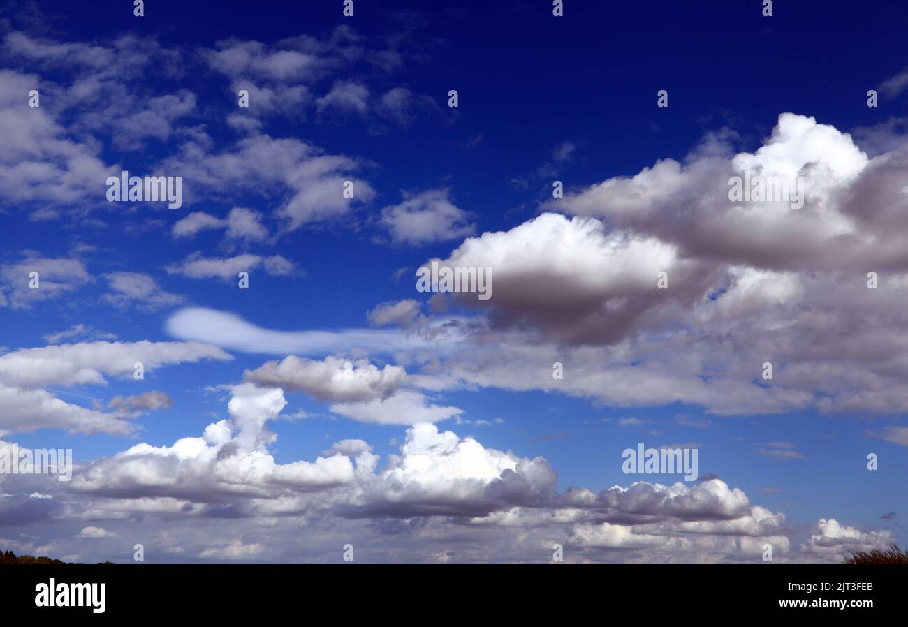 Cumulus blancs, nuageux, ciel bleu, ciel, nuage, Météo, météorologie, Angleterre, Royaume-Uni Banque D'Images