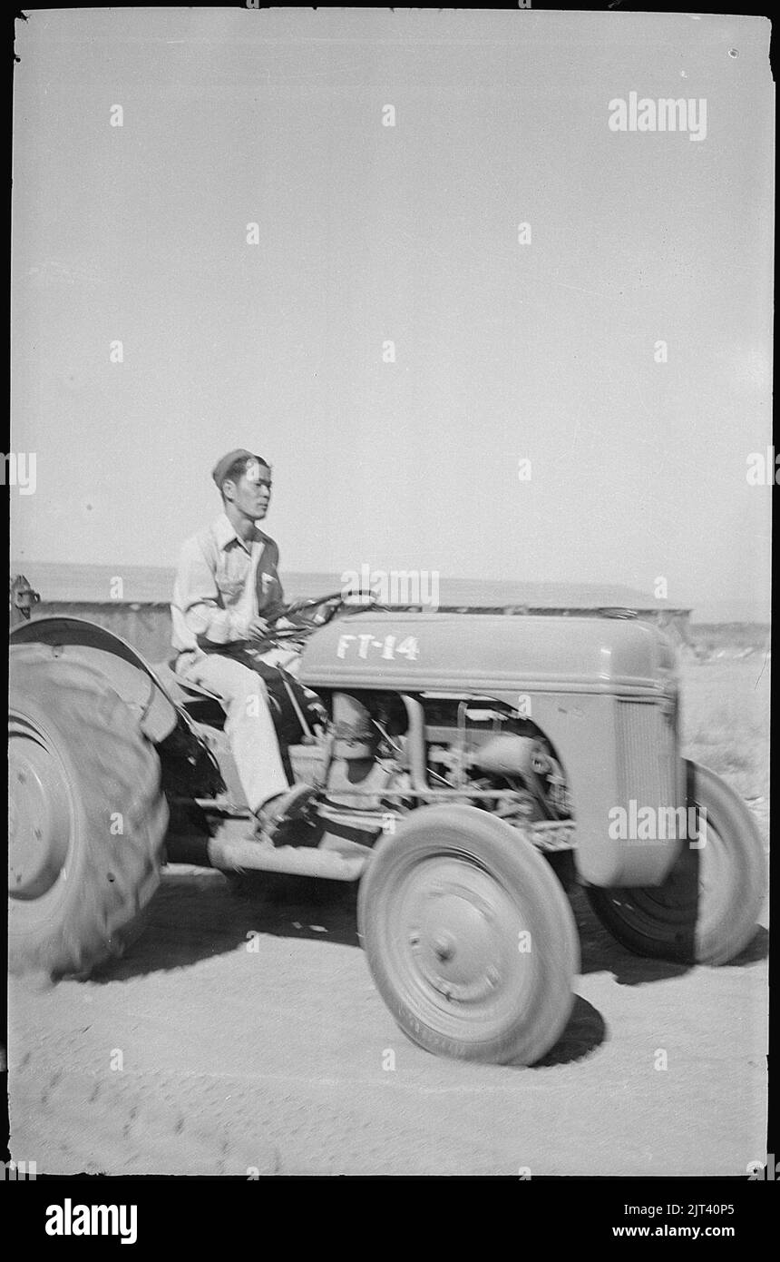 Lac Tule Centre de réinstallation, Newell, en Californie. Le tracteur et le pilote. Banque D'Images