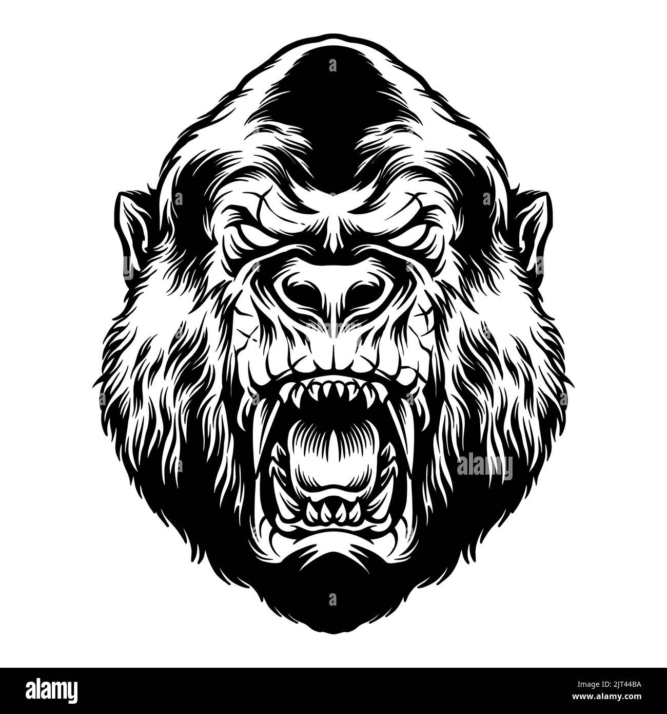 Angry Gorilla Head Silhouette Vector Banque D'Images