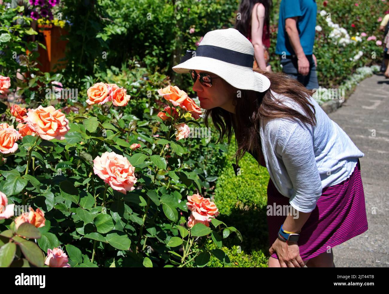 Femme mature qui sent des roses dans le jardin Banque D'Images