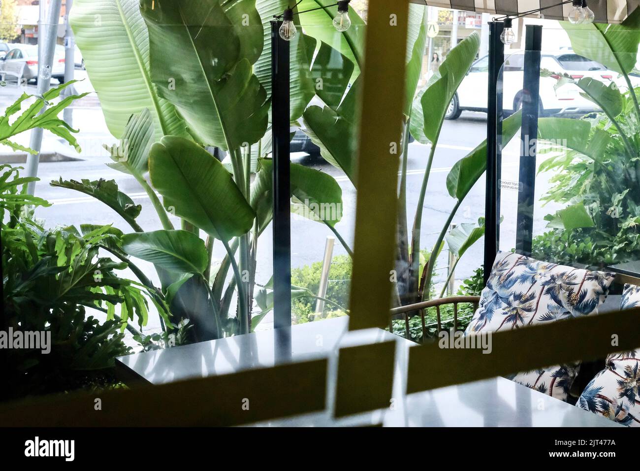 Salle à manger en plein air au Holy Basil, un restaurant thaïlandais et laotien de Canley Vale - Sydney, Australie Banque D'Images