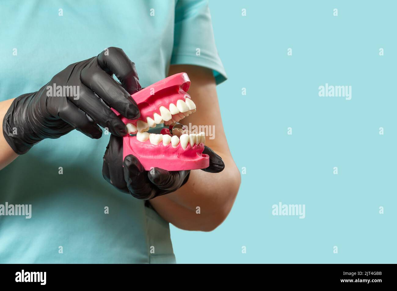 Dentiste avec la disposition d'une mâchoire humaine dans le fond vert. Banque D'Images