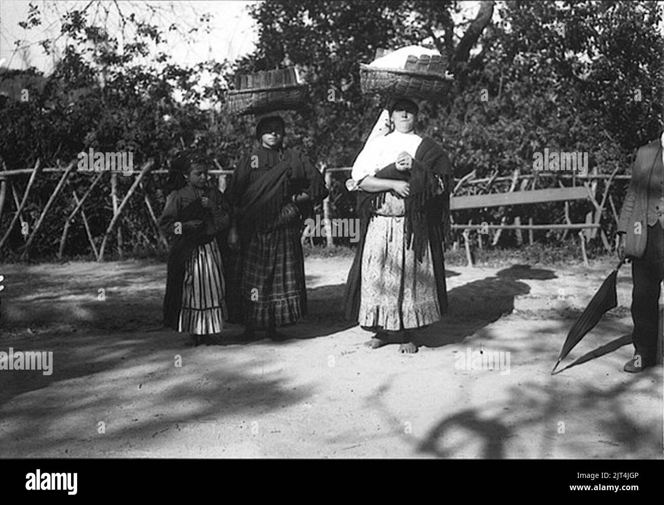 Type de Coimbra (Portugal). Banque D'Images