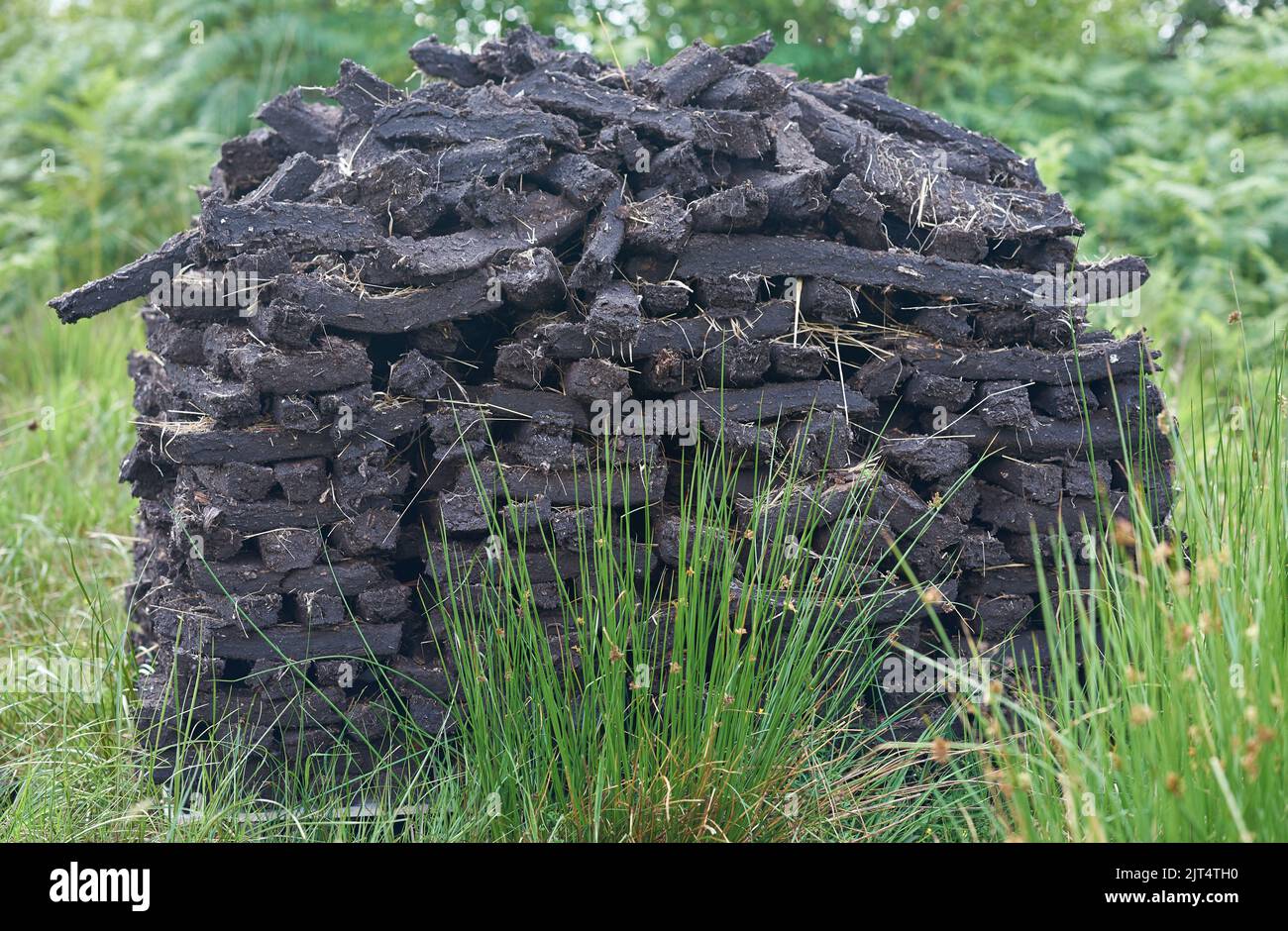 Des piles de combustible fossile de gazon séchant dans une tourbière irlandaise. Banque D'Images