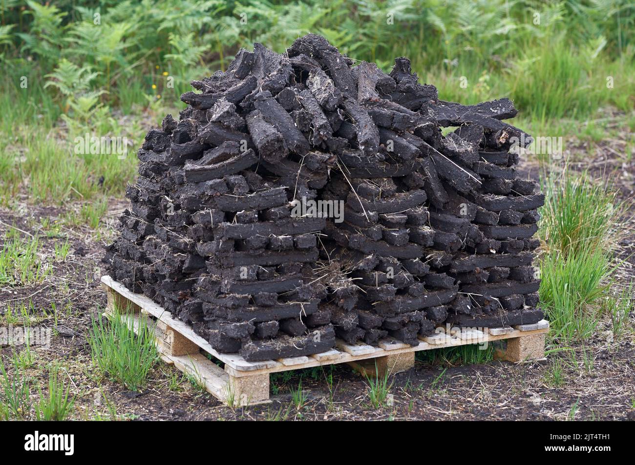 Des piles de combustible fossile de gazon séchant dans une tourbière irlandaise. Banque D'Images