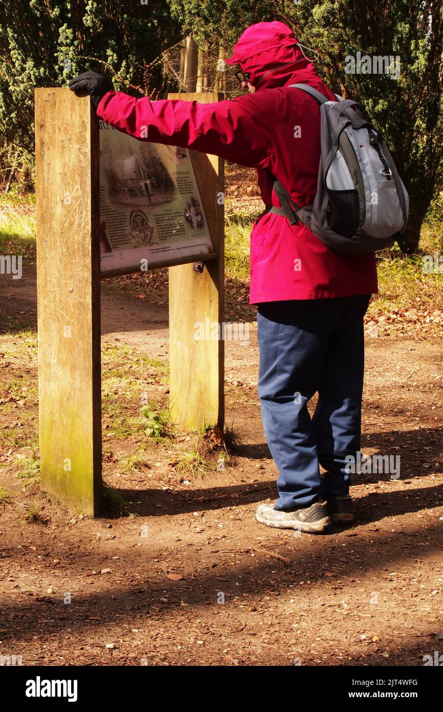 Un homme 60+ vêtu de vêtements d'hiver avec un sac à dos qui regarde le panneau d'information du mausolée Edward Bliss dans le parc national de Brandon Suffolk Banque D'Images