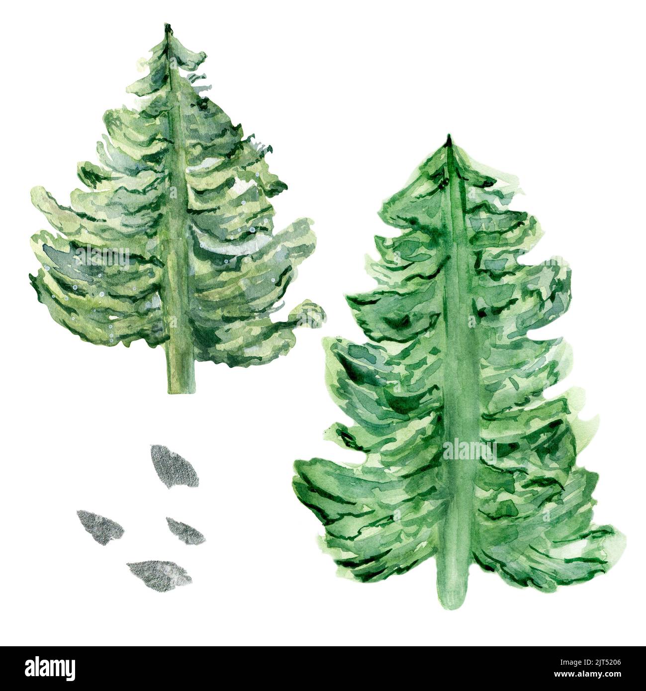 Illustration aquarelle des arbres de Noël isolée sur fond blanc. Sapin, traces, pin vert en hiver dessiné à la main. Éléments pour Noël design Banque D'Images