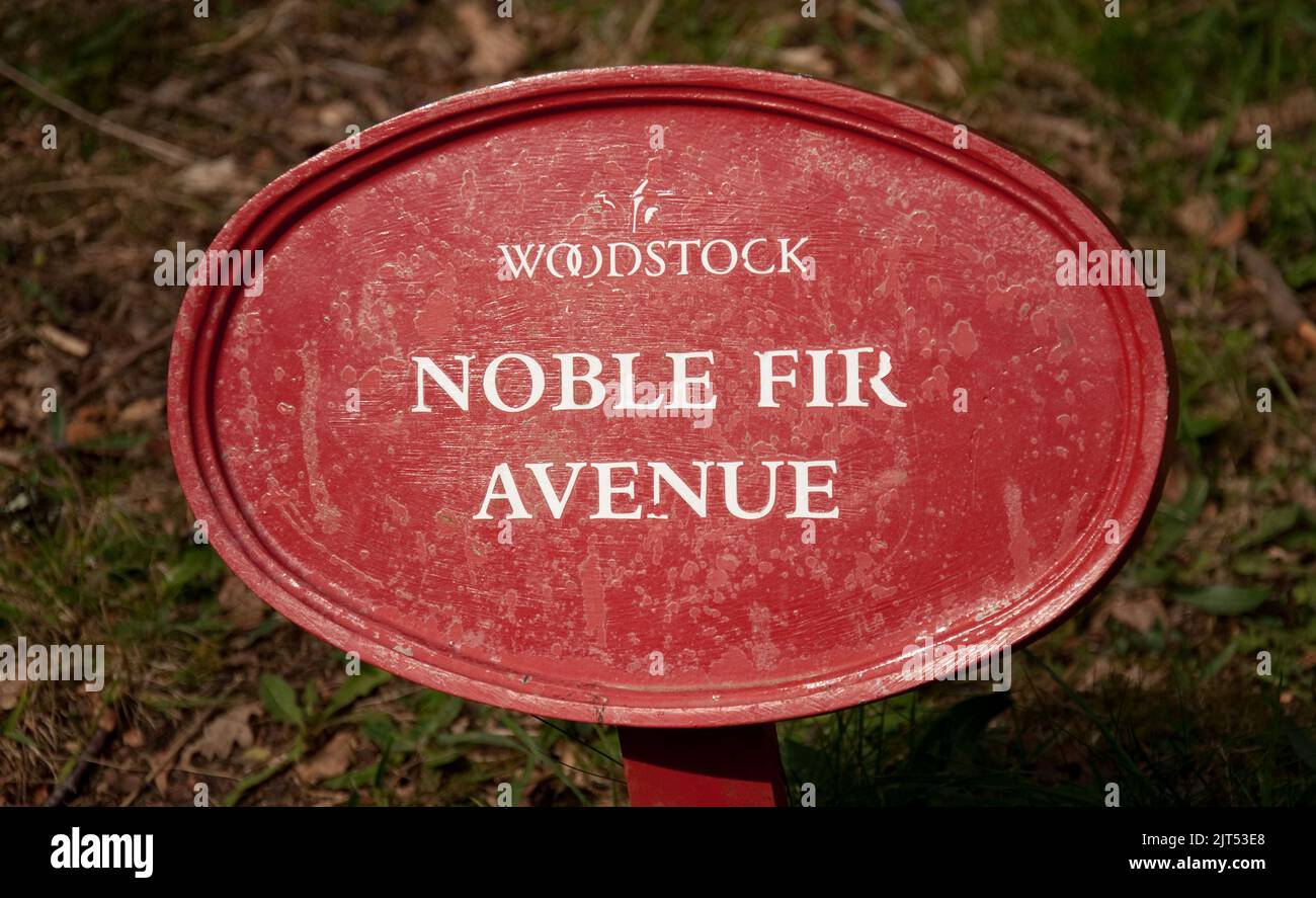 Panneau pour Noble Fir Walk, Tree-Lined Walk, Gardens, Woodstock House, Inistioge, Co. Kilkenny, Irlande. Les magnifiques jardins et arboretum de Woodstock sont l Banque D'Images