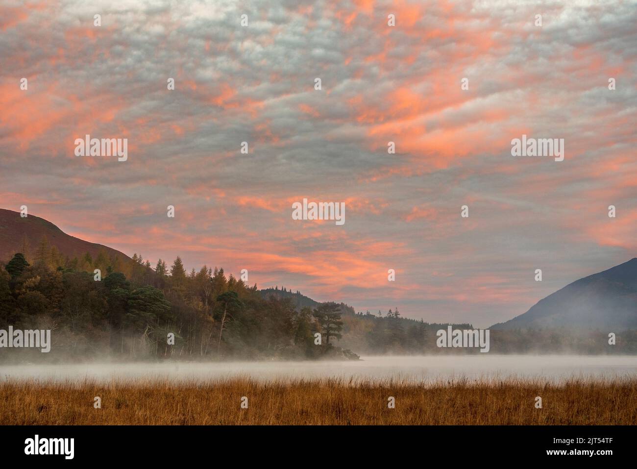 Image épique du paysage d'automne au lever du soleil en regardant depuis Manesty Park dans le lac Distict vers Skiddaw Range baigné de soleil avec mit roulant à travers Derwentwater Banque D'Images