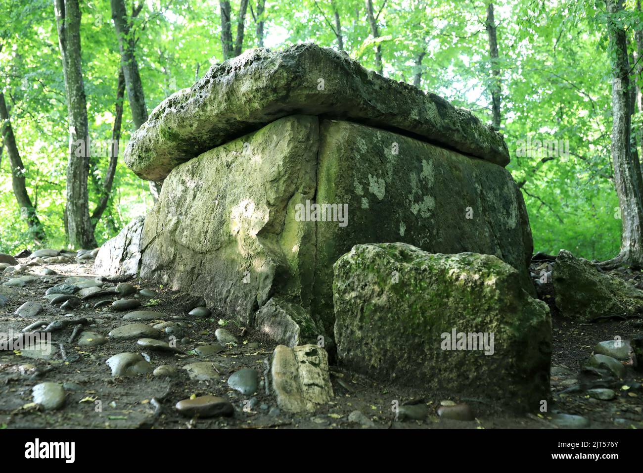 Vue sur le dolmen en forêt en été, Adygea Banque D'Images