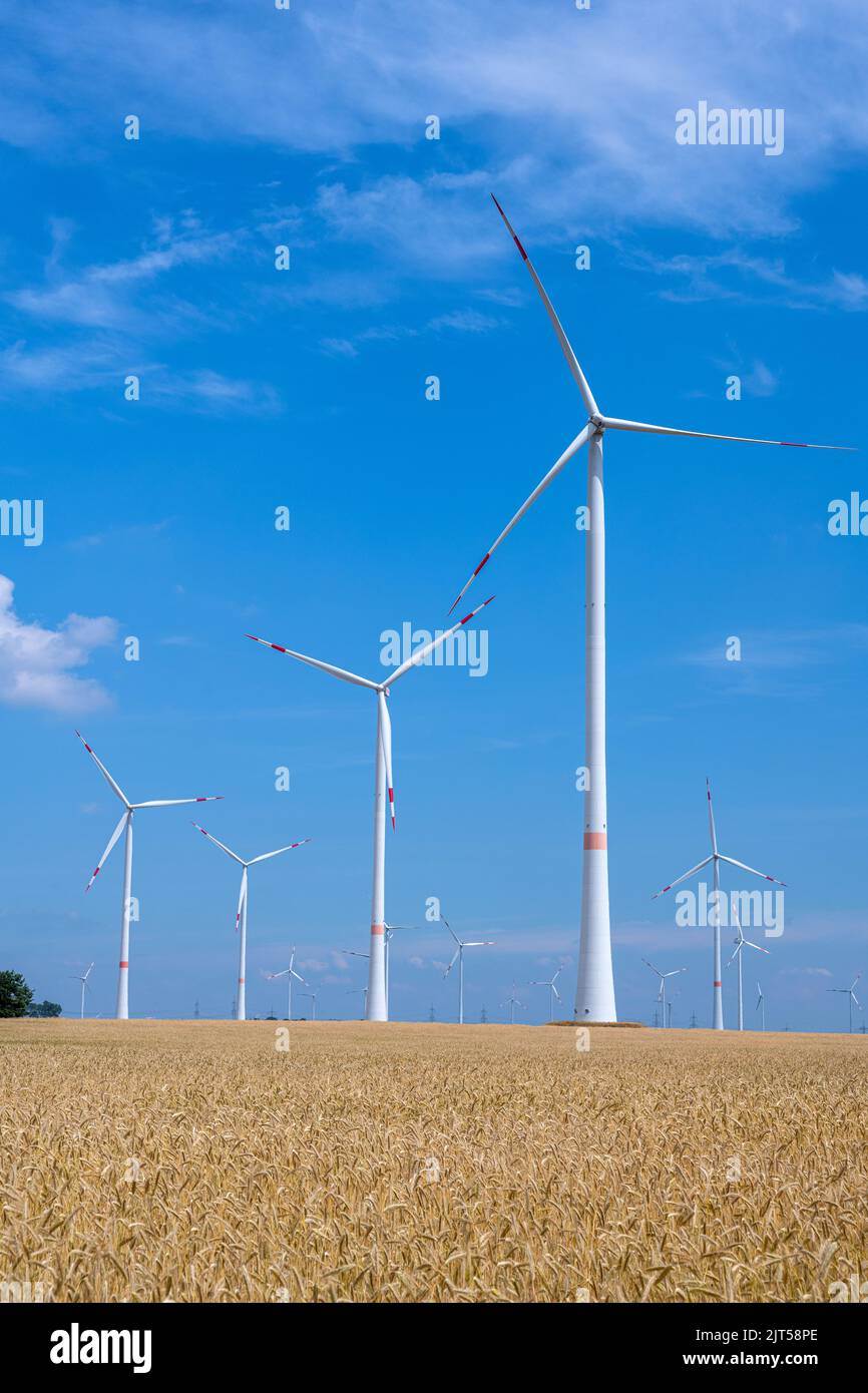 Centrales éoliennes dans un champ de gris vu en Allemagne Banque D'Images