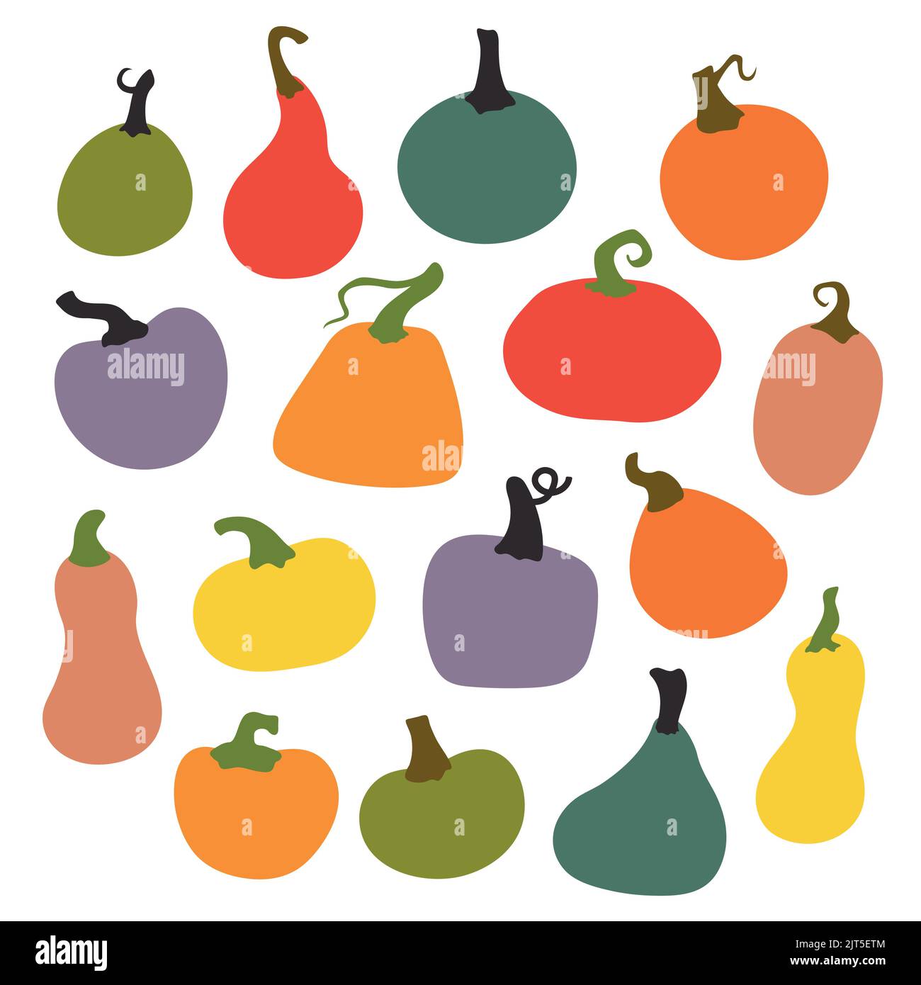 Citrouilles de différentes formes. Collection d'illustrations vectorielles dessinées à la main. Illustration de Vecteur