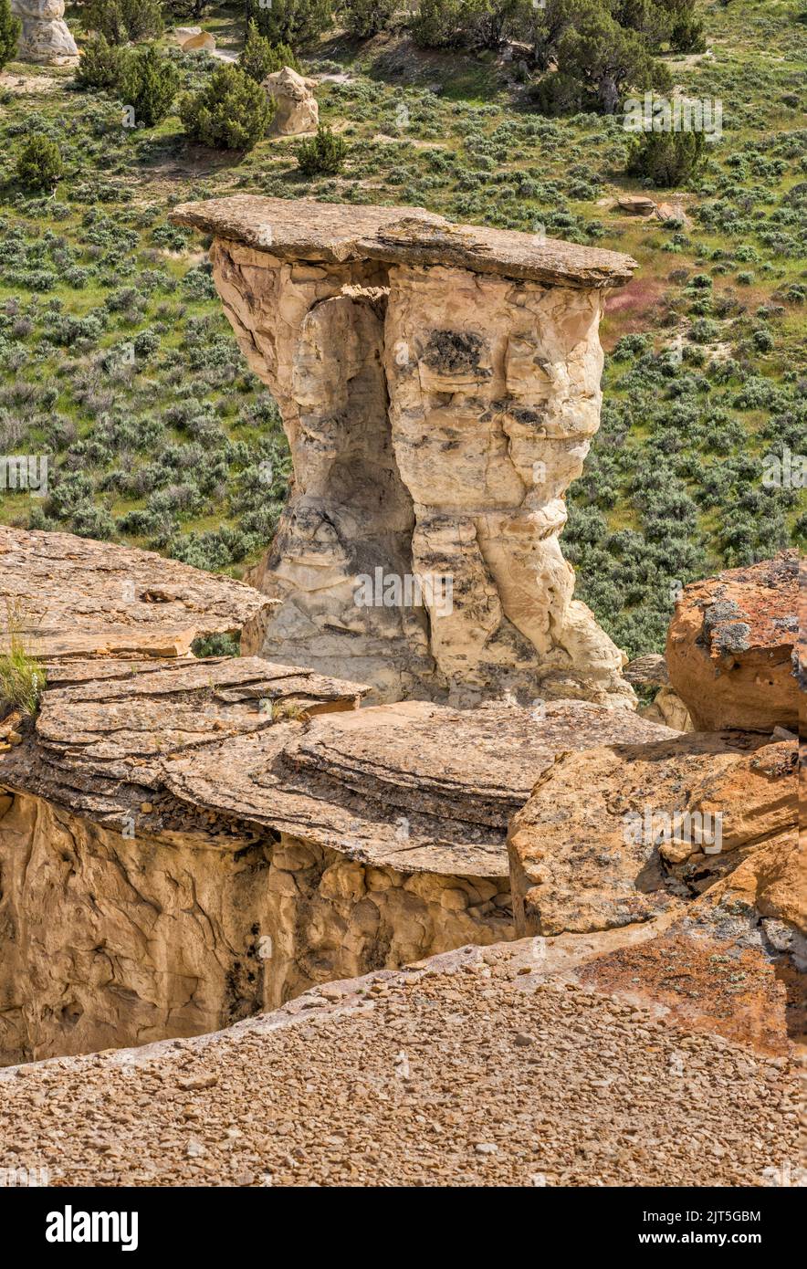 Griffonnages de grès, zone pittoresque de Castle Gardens, bassin de Bighorn, près de la ville de Ten Sleep, Wyoming, États-Unis Banque D'Images