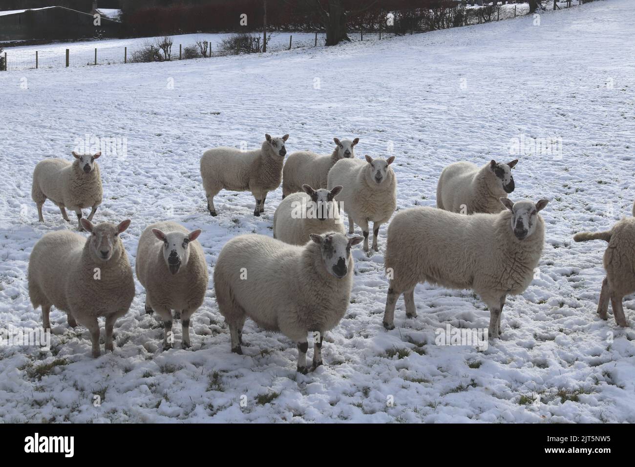 Campagne d'hiver au nord du pays de Galles Banque D'Images