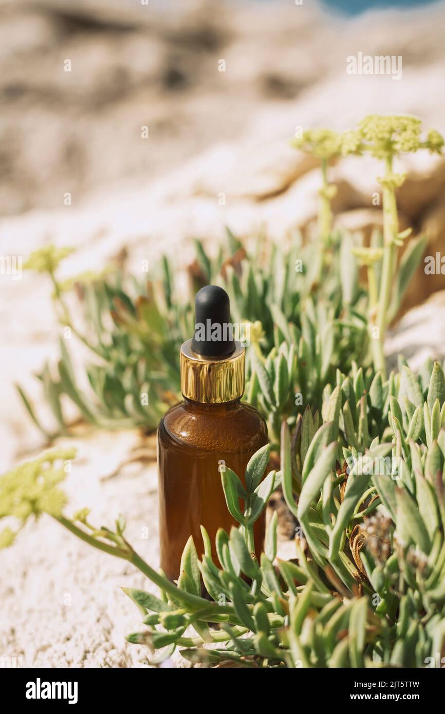 Bouteille de sérum en verre cosmétique dans une herbe sur la plage. Concept de soin naturel de la peau. Gros plan. Banque D'Images