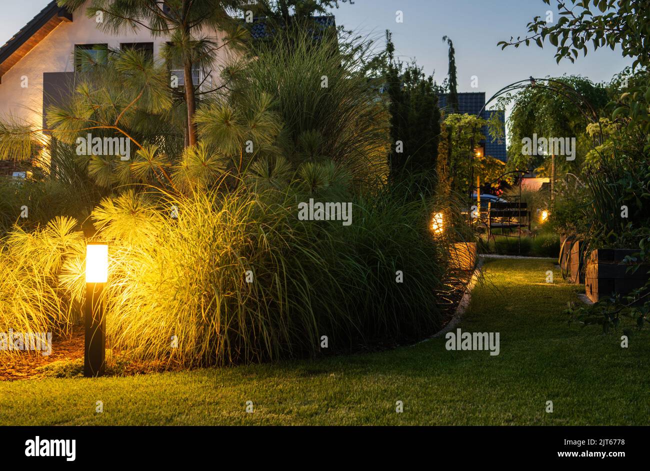 Elégant éclairé par des lumières LED jardin résidentiel de cour avec herbes décoratives mûrs. Banque D'Images