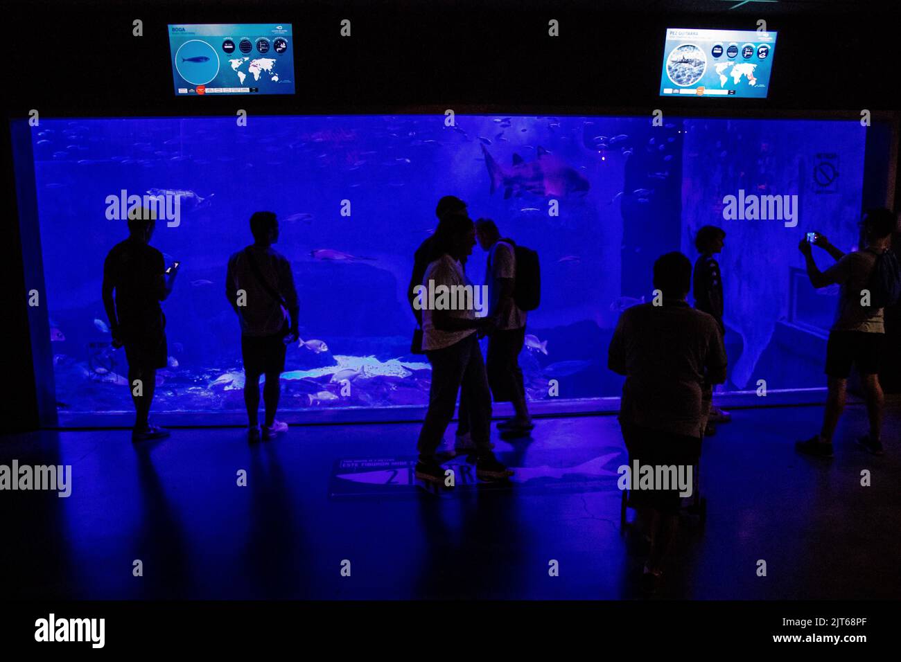 Code Promo Aquarium La Rochelle Aout 2022