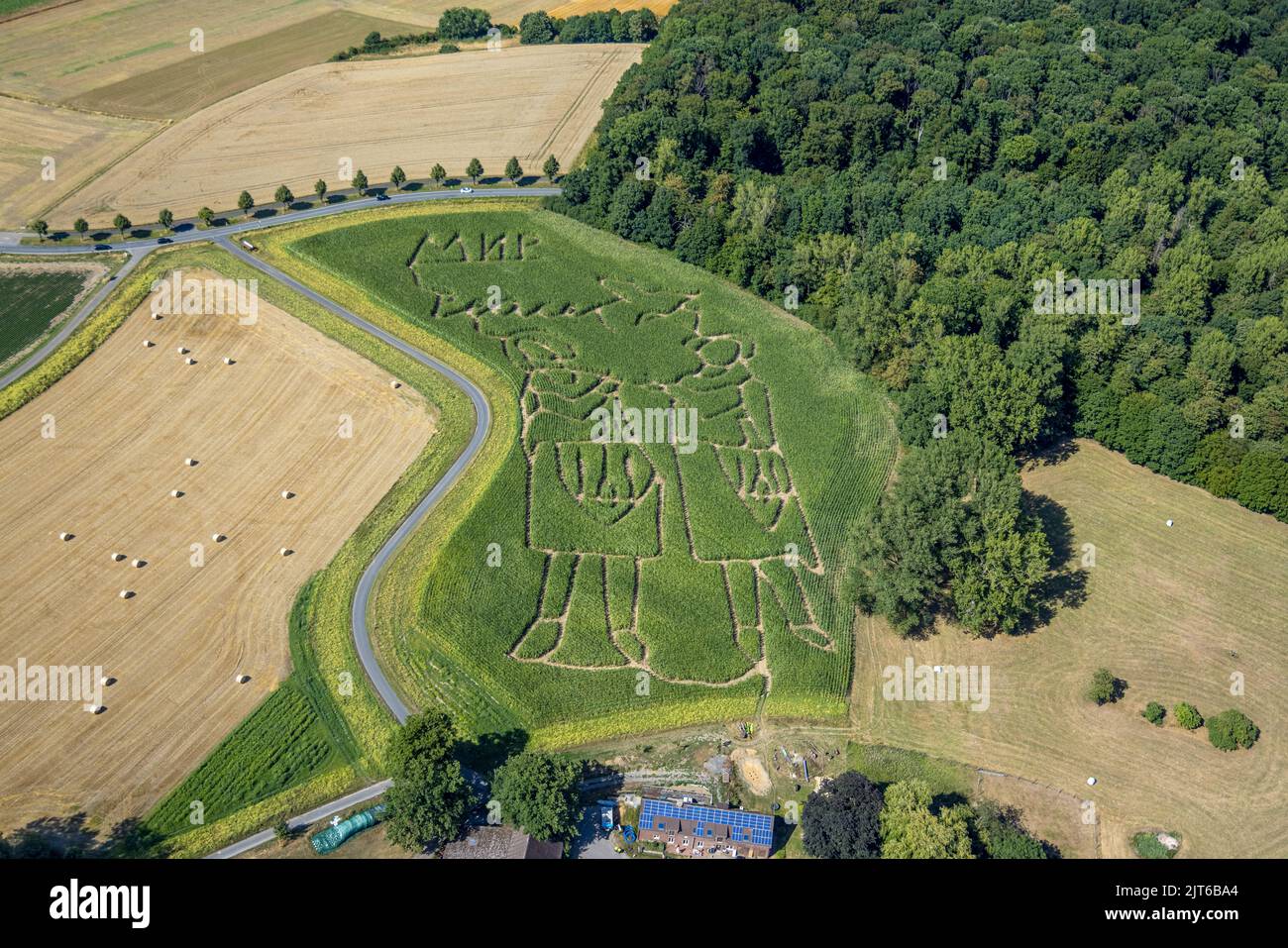 Vue aérienne du labyrinthe de maïs sur le champ de l'agriculteur Benedikt Lünemann à Cappenberg NRW, le thème est la guerre en Ukraine. Les mots MIR et PAIX et Banque D'Images