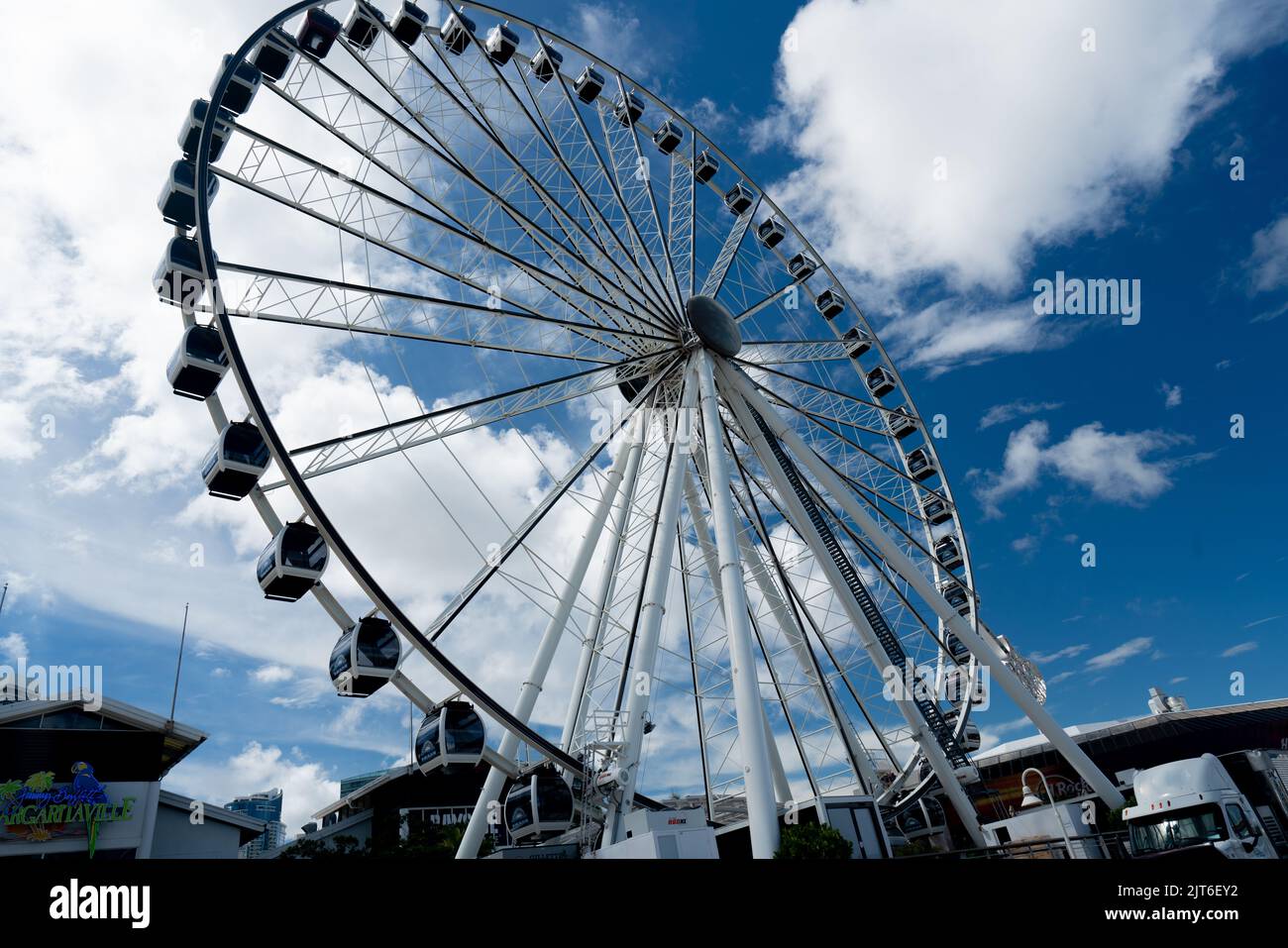 Ferris Wheel à Bayfront Park à Miami en Floride Banque D'Images