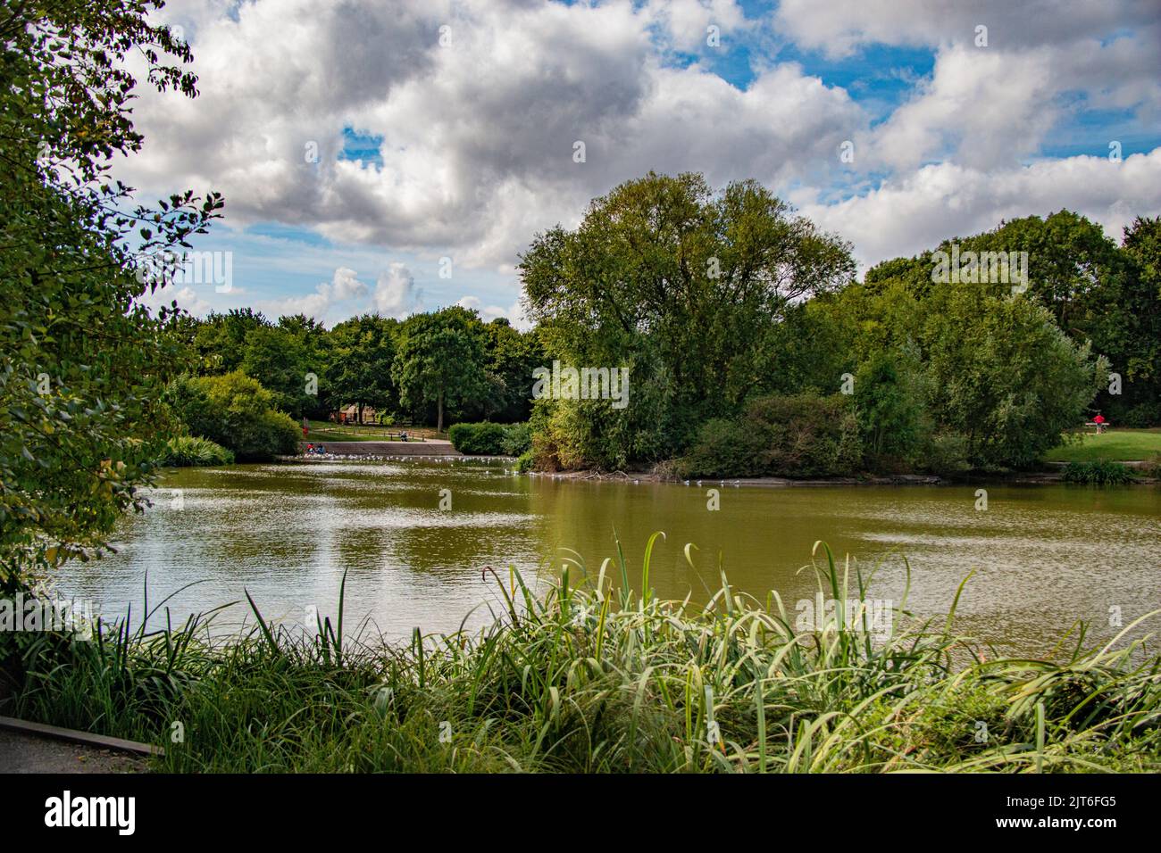 Le lac du parc Capstone Farm Country Park, Chatham, Kent Banque D'Images