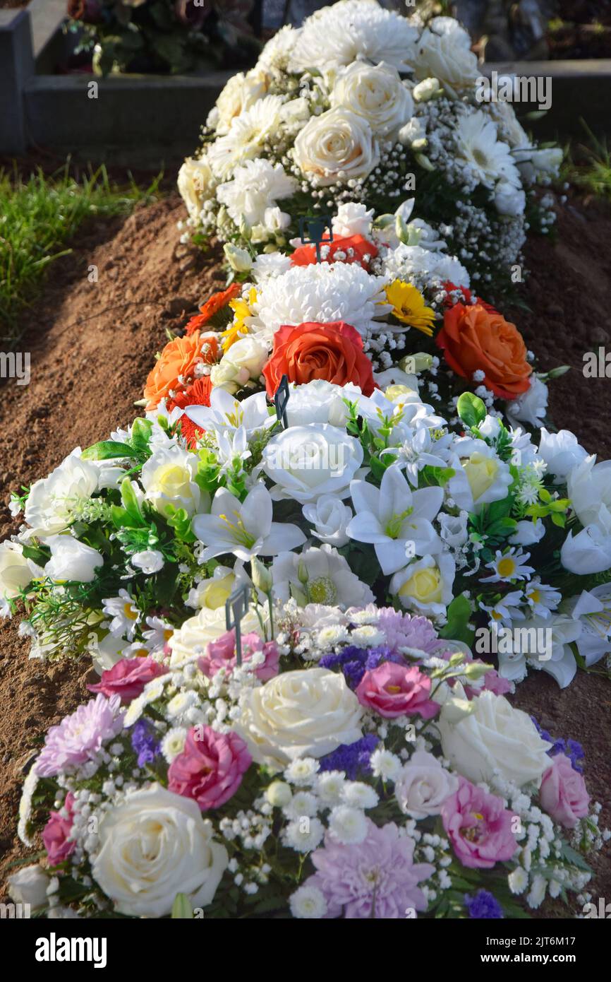 fleurs-sur-tombe-banque-de-photographies-et-d-images-haute-r-solution
