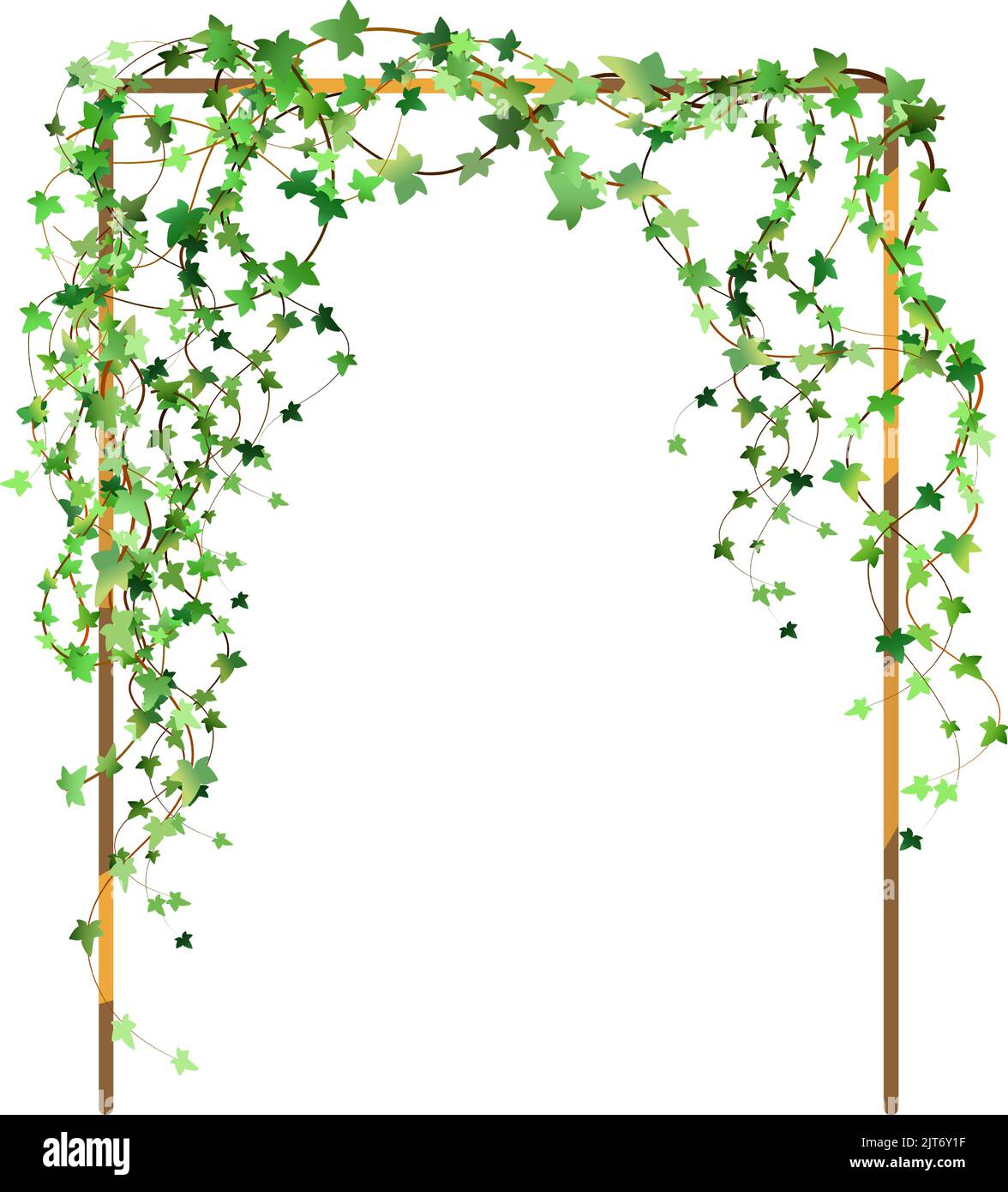 Décoration pour le jardin ou la maison.vigne verte, super-réducteur ou lierre suspendue au-dessus ou montant le mur.modèle sur fond blanc. Illustration de Vecteur