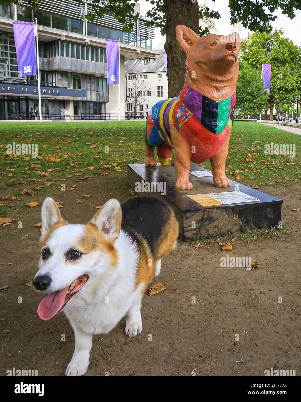 Londres, Royaume-Uni. 28th août 2022. Lillie la Corgi explore le sentier de Jubilee Corgi avec son propriétaire aujourd'hui. Le sentier Corgi Trail est un sentier d'art gratuit avec 19 statues de la race de chien préférée de la reine installées dans le quartier du patrimoine, Westminster. Credit: Imagetraceur/Alamy Live News Banque D'Images