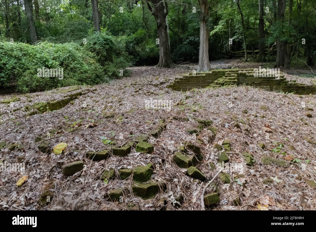 Les vestiges de la plantation d'Archdale Hall sont situés au milieu d'une subdivision moderne de Dorchester Road, à North Charleston, en Caroline du Sud. Banque D'Images