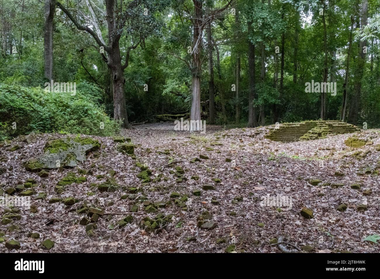 Les vestiges de la plantation d'Archdale Hall sont situés au milieu d'une subdivision moderne de Dorchester Road, à North Charleston, en Caroline du Sud. Banque D'Images