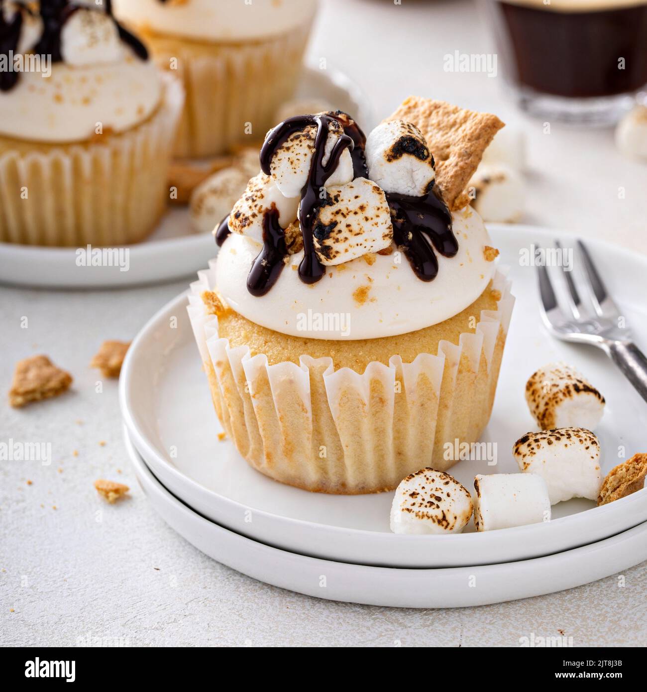 Smores cupcakes avec biscuits graham, marshmallows grillés et chocolat Banque D'Images