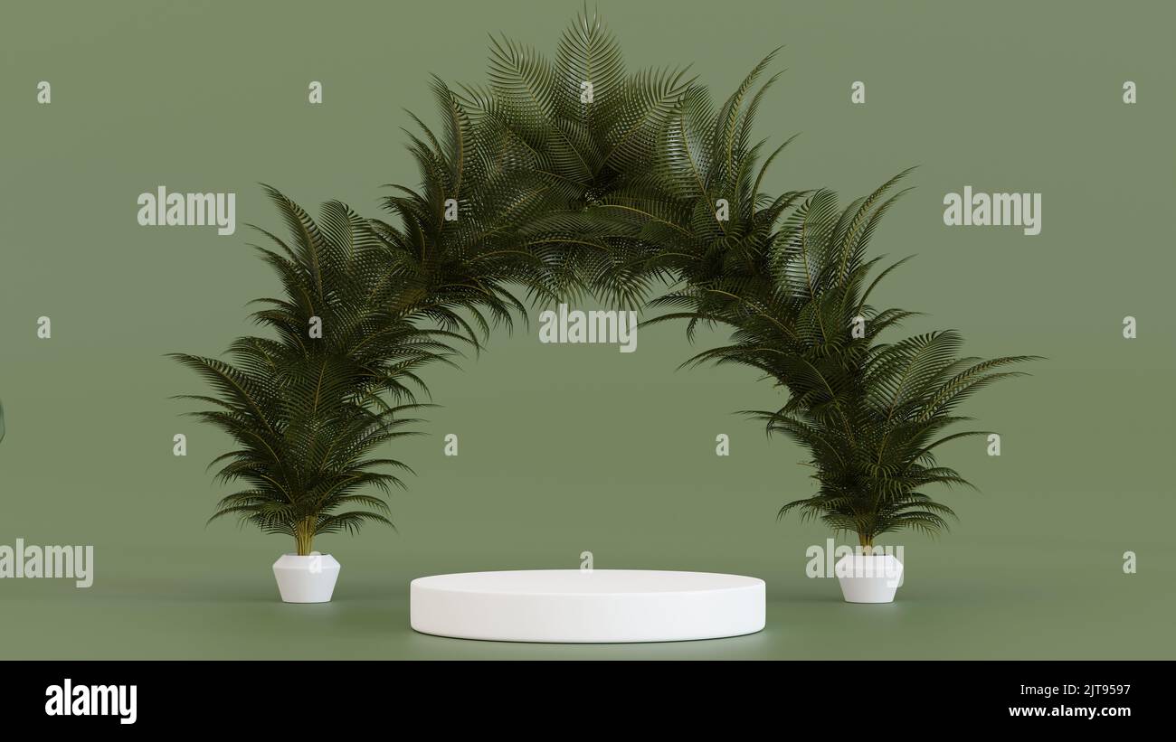 Socle de podium cylindrique avec décoration de palmier, scène pour la présentation du produit, rendu 3D. Banque D'Images