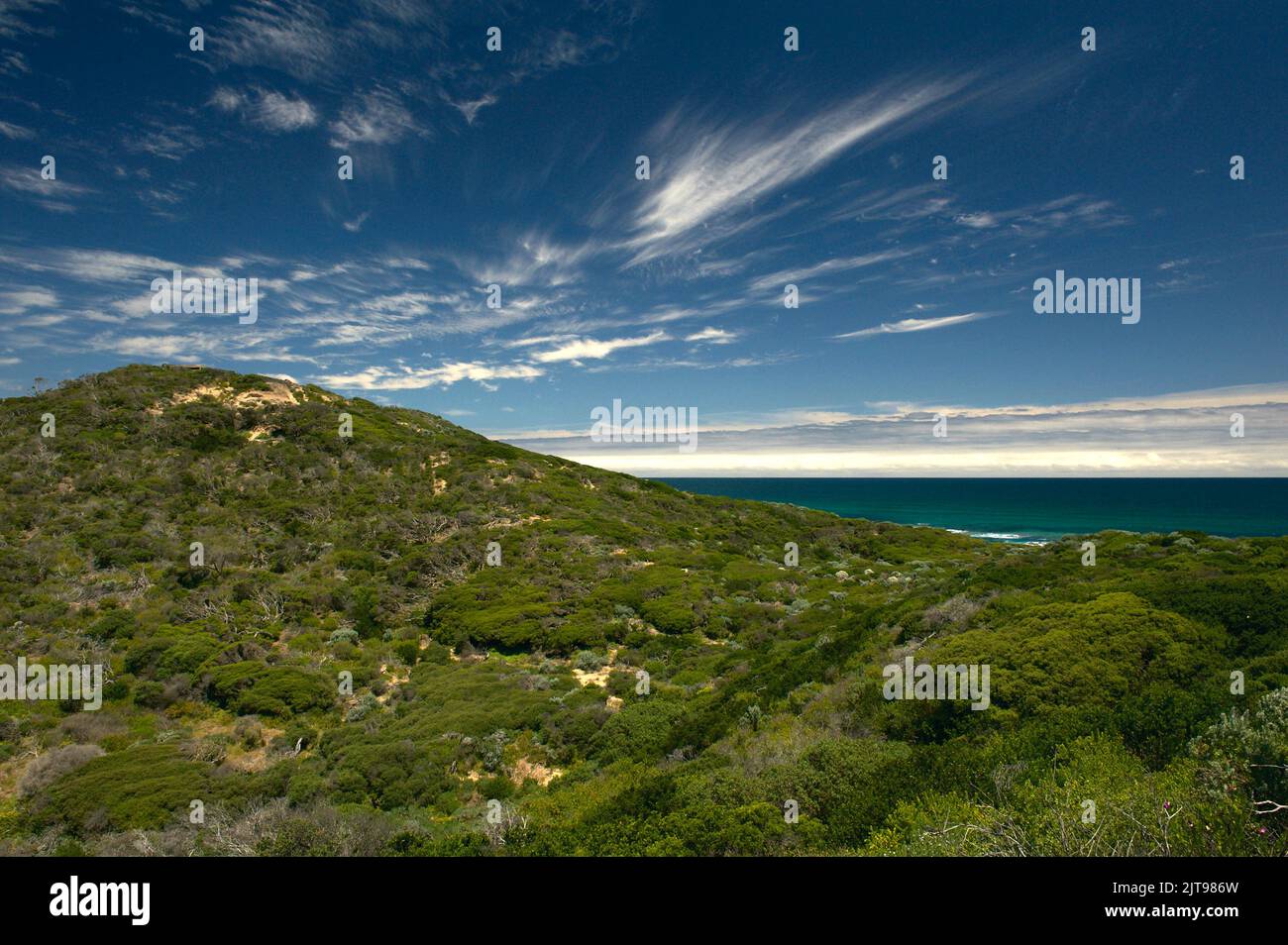 Point Nepean, Victoria, Australie, un jour ensoleillé. Les échalodes avaient une belle couleur turquoise, qui contrastait avec le vert du gommage côtier. Banque D'Images