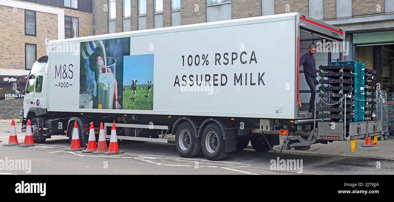 M&S camion et remorque articulée RRSPCA bien-être de la vache livraison à l'arrière du magasin Marks and Spencer Brentwood Essex Angleterre Royaume-Uni Banque D'Images