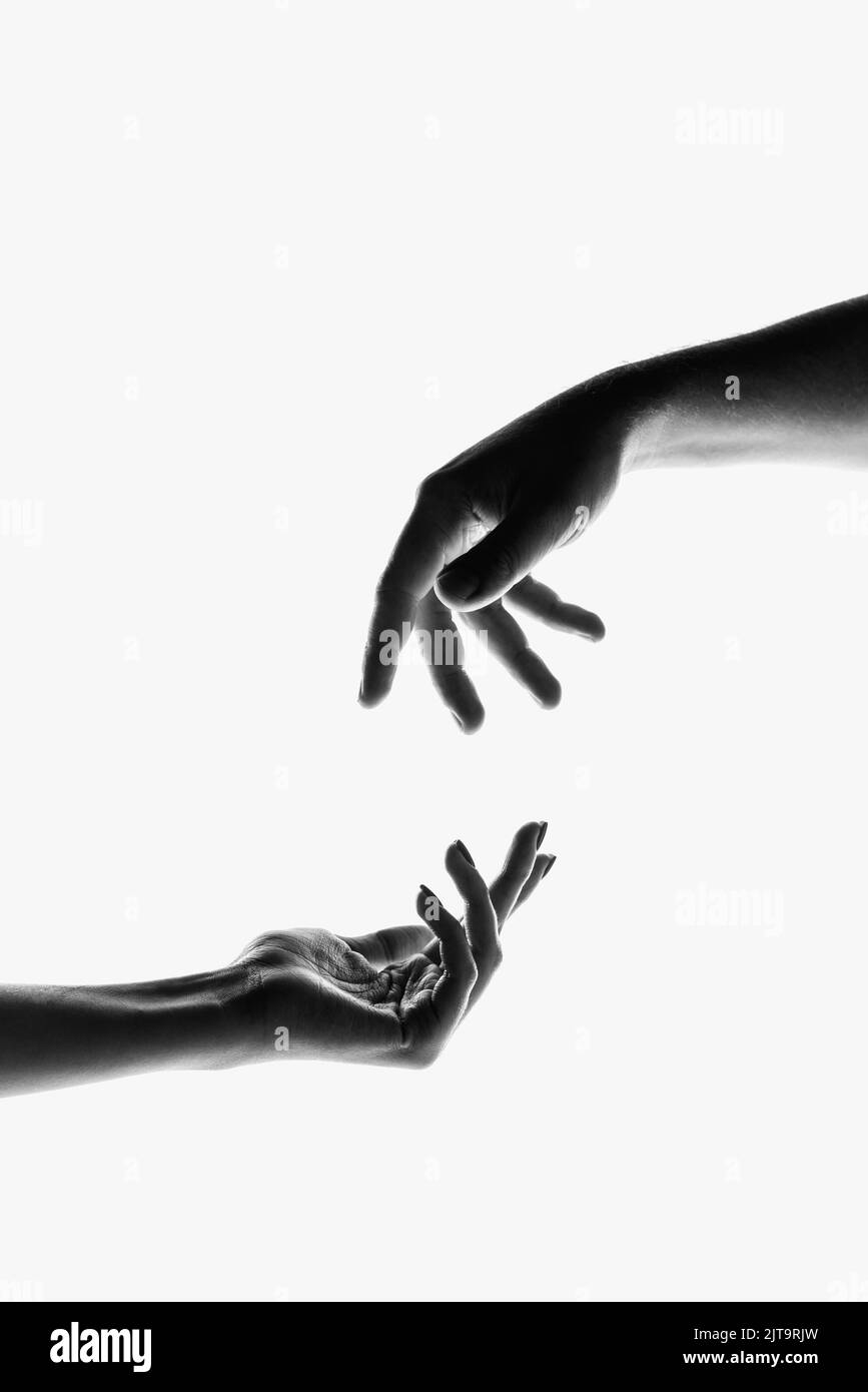 Image monochrome de belles mains dans différents mouvements, isolée sur fond blanc. Concept de sentiments, communauté, soins, soutien, symbolisme, art Banque D'Images