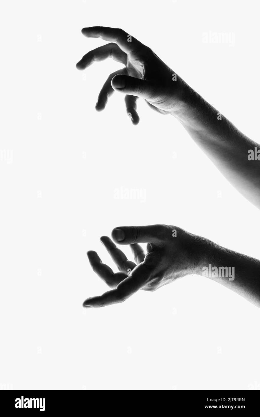 Image monochrome de belles mains dans différents mouvements, isolée sur fond blanc. Concept de sentiments, communauté, soins, soutien, symbolisme, art Banque D'Images