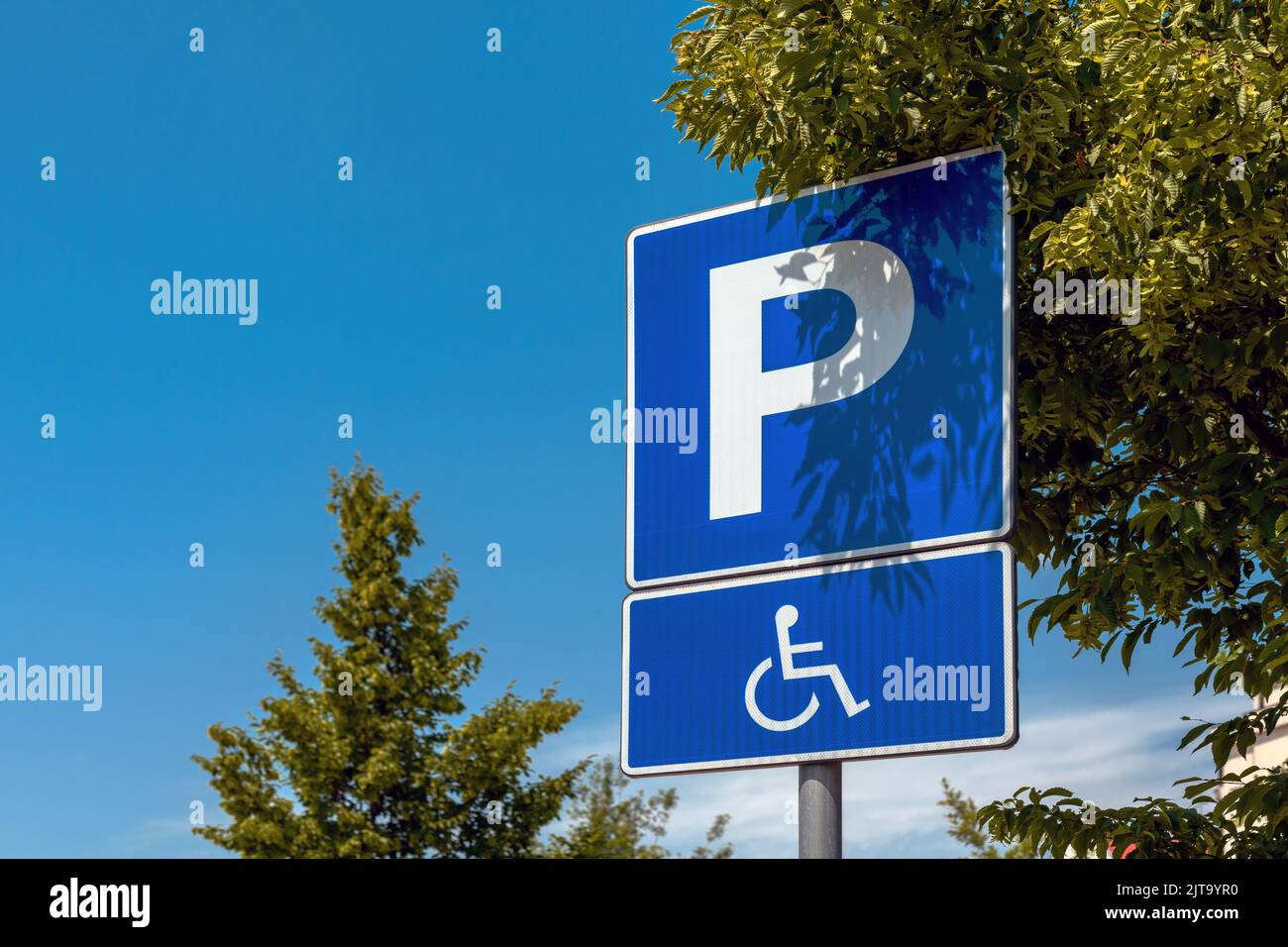Panneau d'espace de stationnement réservé, personne handicapée avec pictogramme fauteuil roulant, attention sélective Banque D'Images