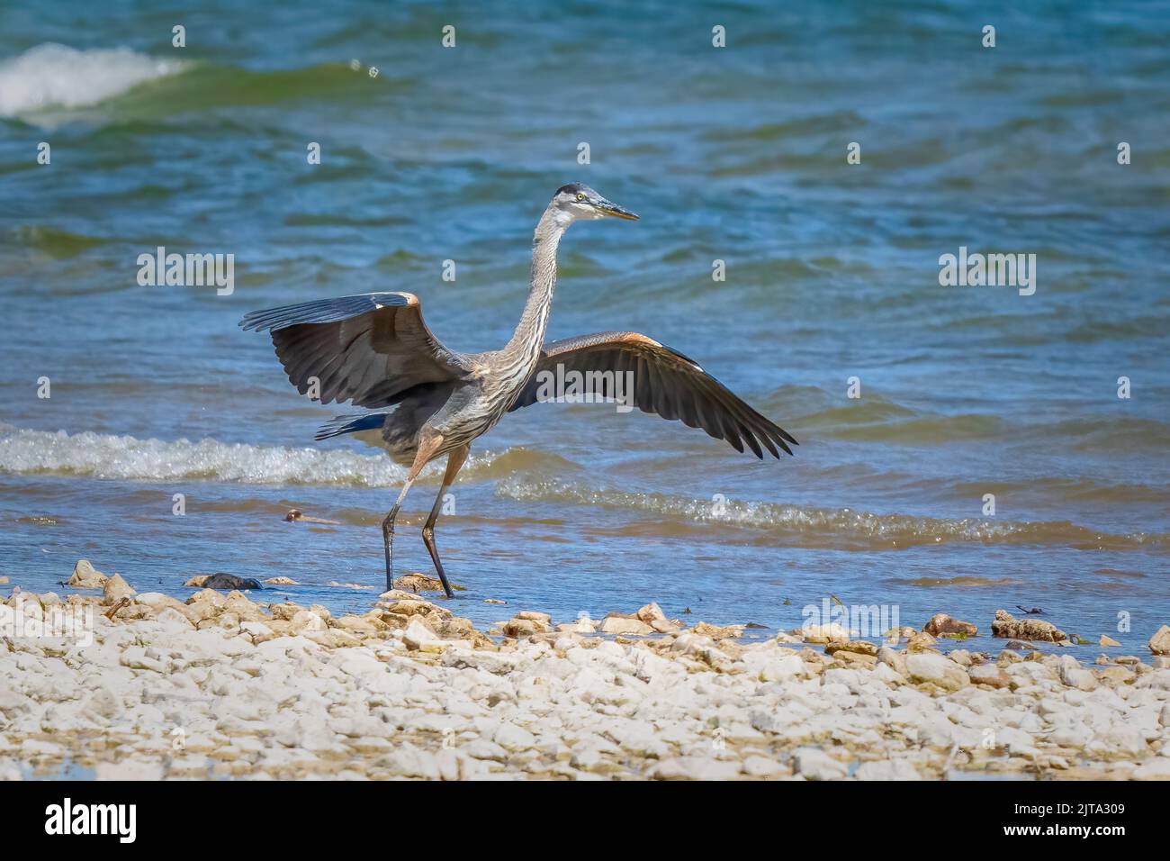 Le Door County Land Trust est une organisation de conservation des terres qui entretient diverses propriétés dans le comté de Door Wisconsin. Ces images ont été prises Banque D'Images