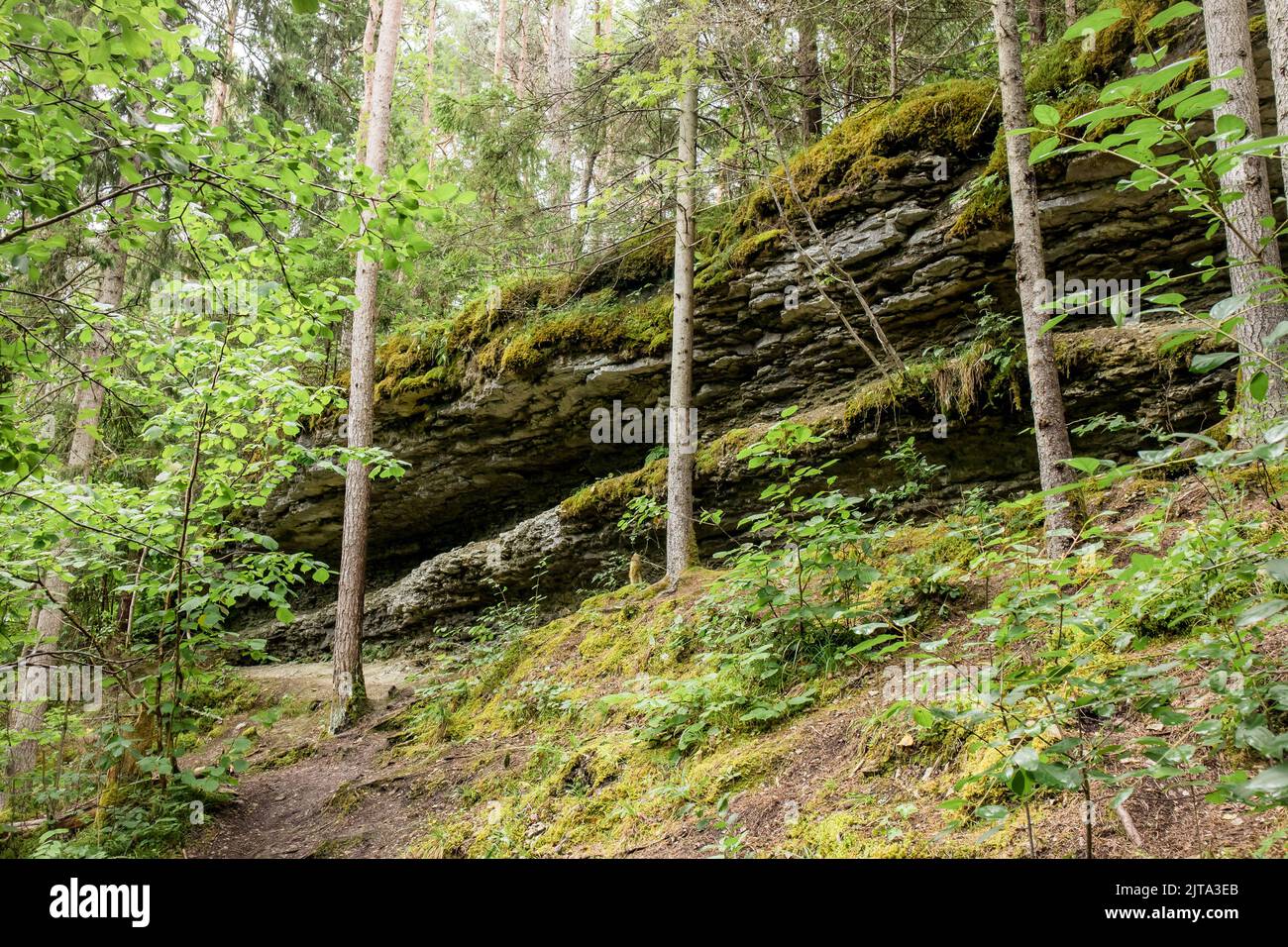 Kallaste pank à Hiiumaa, Estonie. Pankrannik ou côte de la banque située sur l'île de Hiiumaa dans la nature sauvage. Comté de Hiiu. Banque D'Images