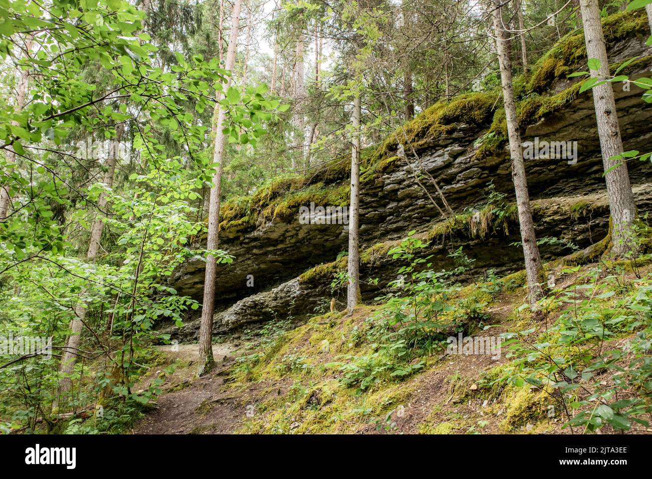 Kallaste pank à Hiiumaa, Estonie. Pankrannik ou côte de la banque située sur l'île de Hiiumaa dans la nature sauvage. Comté de Hiiu. Banque D'Images