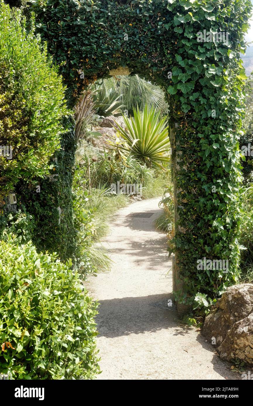 Fondée par Lady Walton, épouse du compositeur William Walton, la Mortella est l'un des plus beaux jardins d'Italie. Elle est située à Forio, île d'Ischia Banque D'Images