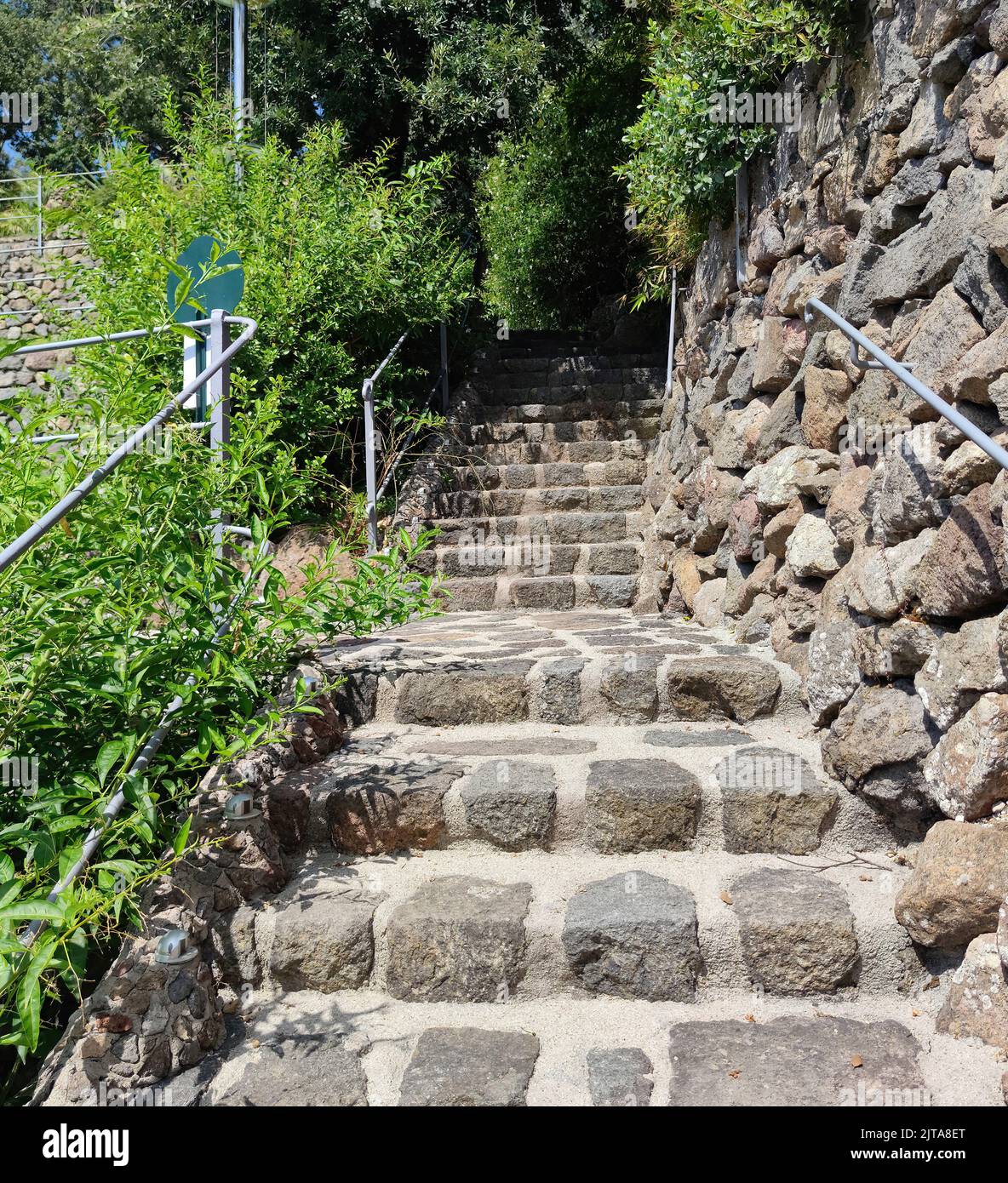 Fondée par Lady Walton, épouse du compositeur William Walton, la Mortella est l'un des plus beaux jardins d'Italie. Elle est située à Forio, île d'Ischia Banque D'Images