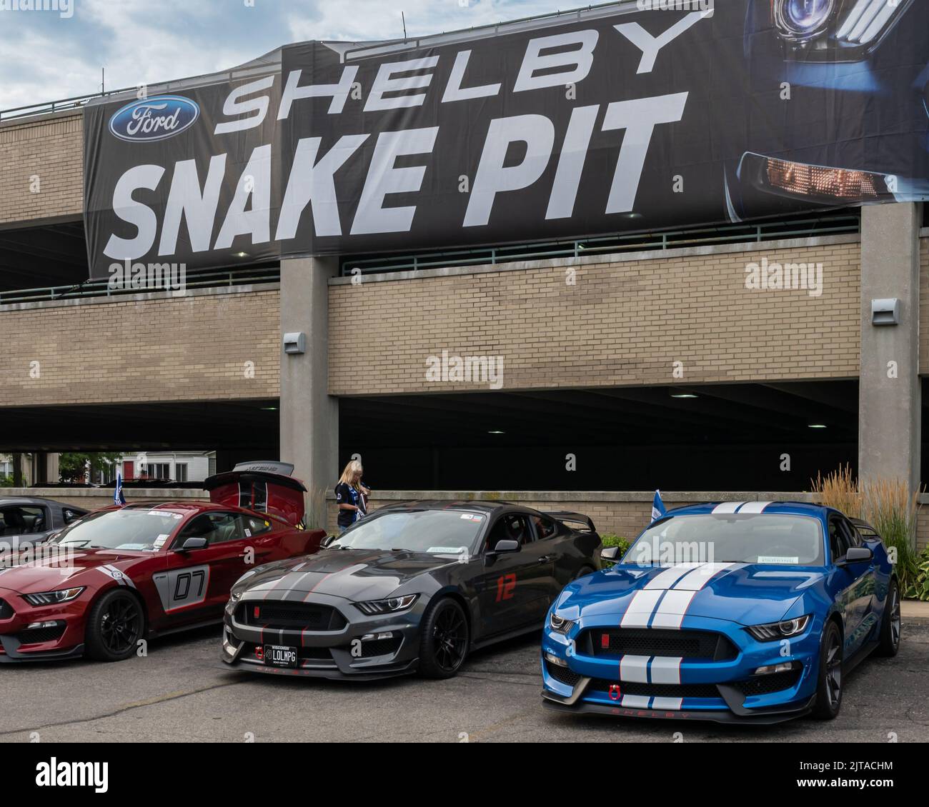 FERNDALE, MI/États-Unis - 20 AOÛT 2022 : Ford Shelby Snake Pit, sur Mustang Alley, sur la route Woodward Dream Cruise. Banque D'Images