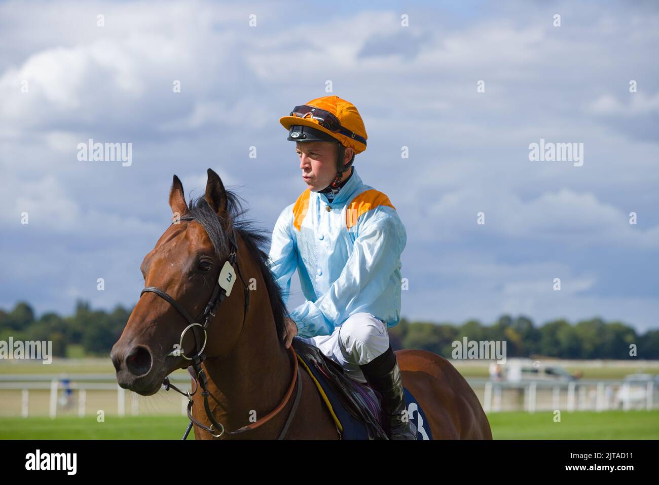 Jockey Ray Dawson sur Clarendon House aux courses de York. Banque D'Images