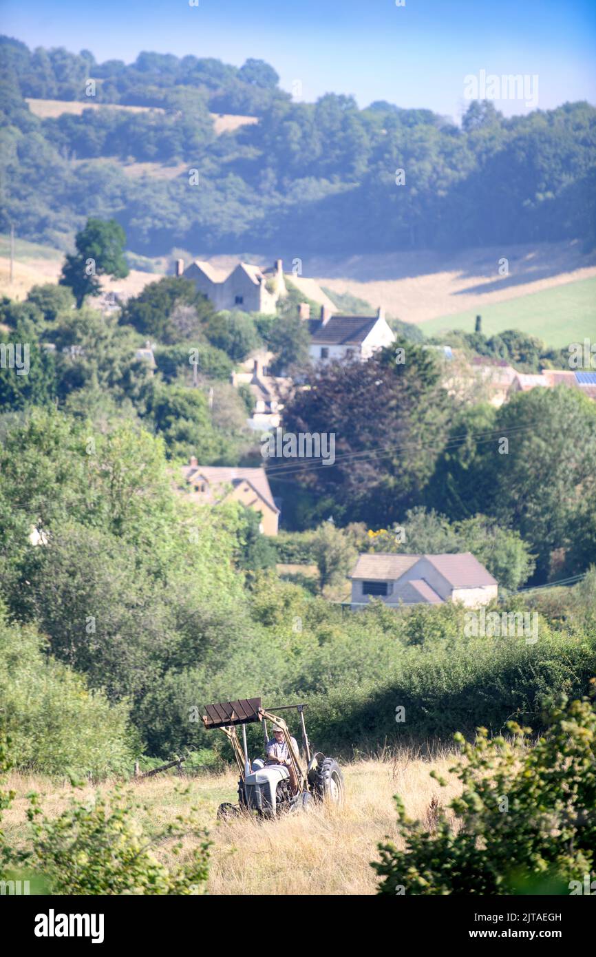 Pics - Adrian Sherratt - 07976 237651 Un agriculteur récolte un champ en préparation pour la production de foin à Coombe près de Wotton-Under-Edge, Gloucestershire aujourd'hui (27 Banque D'Images