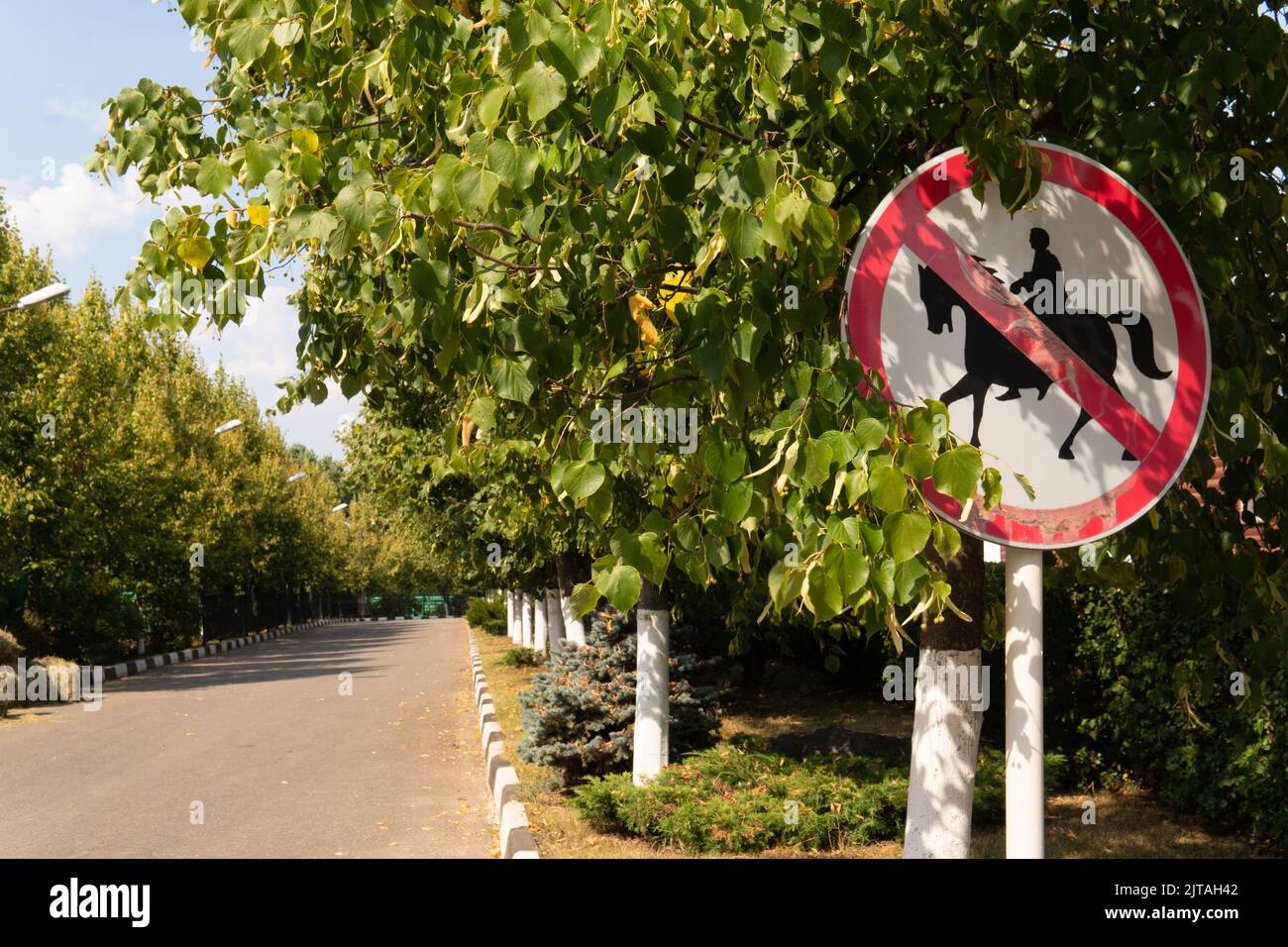 Symbole d'avertissement de pilote interdit icône transport route, pour la roue de prudence pour la conduite et danger skateboard, vélo personne. Patin de rouleau Banque D'Images