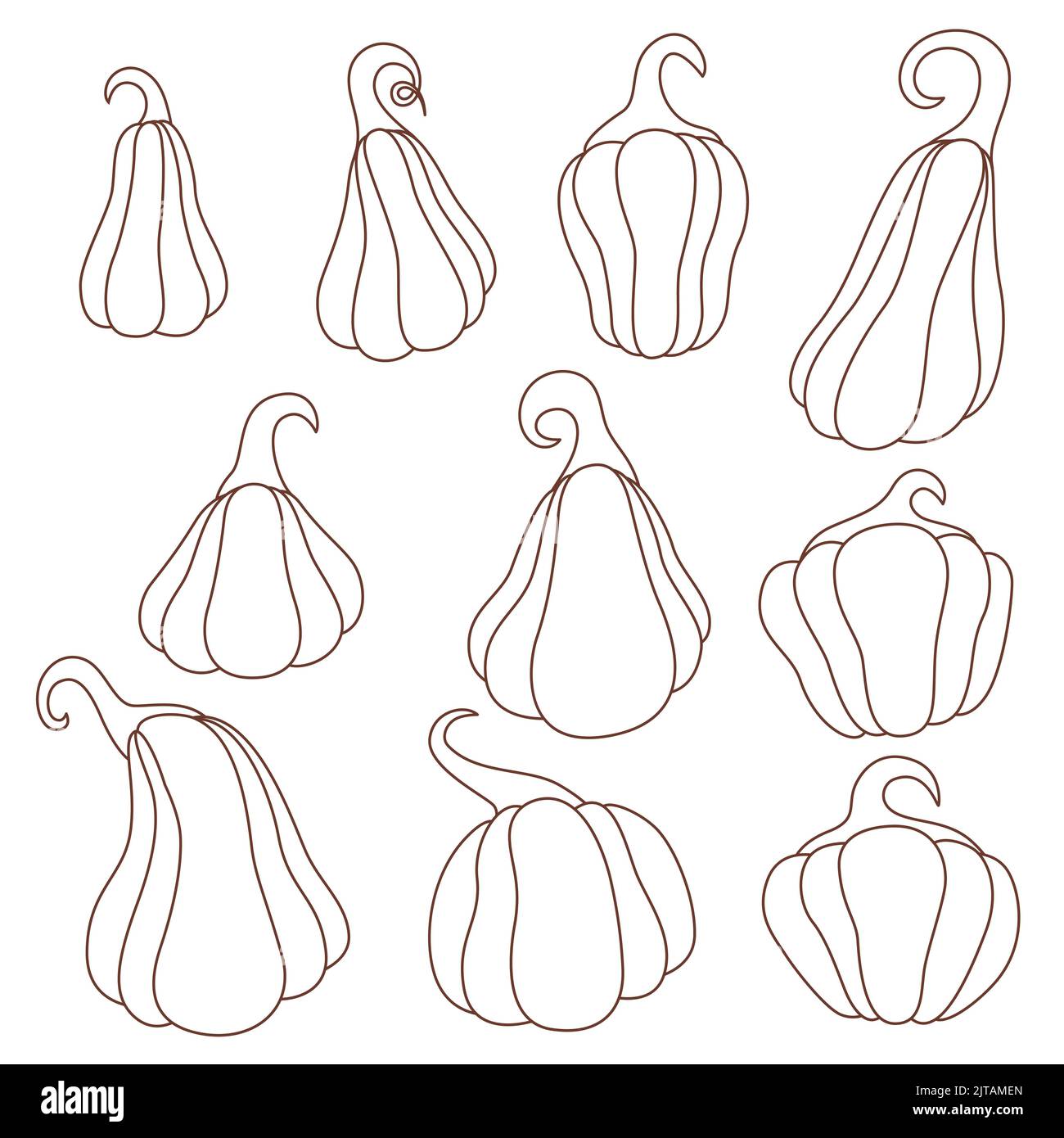 Jeu de citrouilles illustration vectorielle de livre de coloriage Illustration de Vecteur