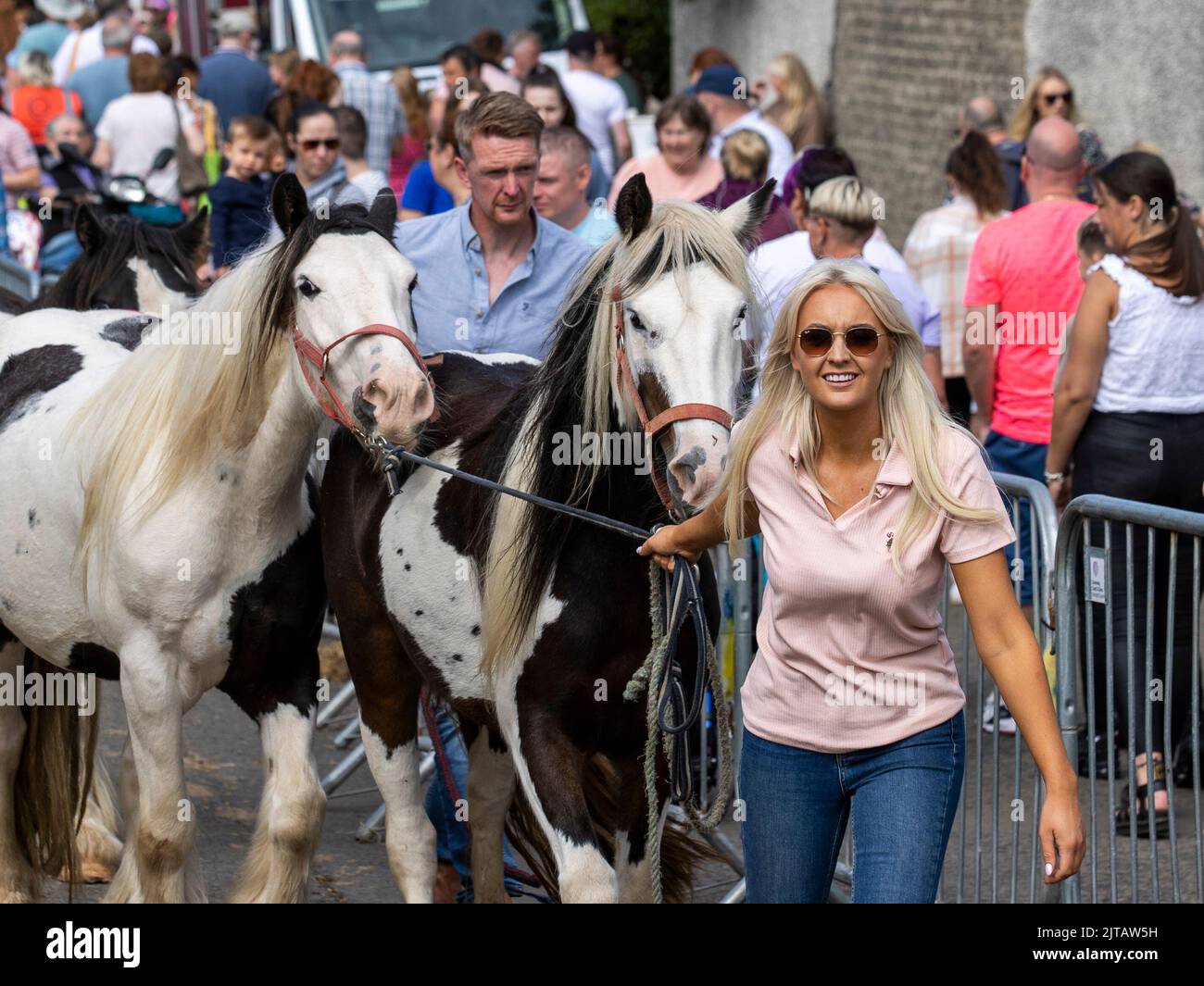 Le commerçant de chevaux Codie Guy tire trois chevaux , pendant la Foire de Lammas Ould sur le lundi de vacances de banque à Ballycastle, Irlande du Nord. Banque D'Images